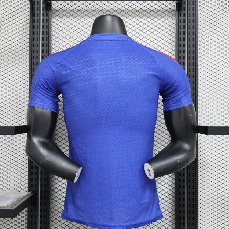 2024/2025 Players Edition Japan Special Edition Football Jersey