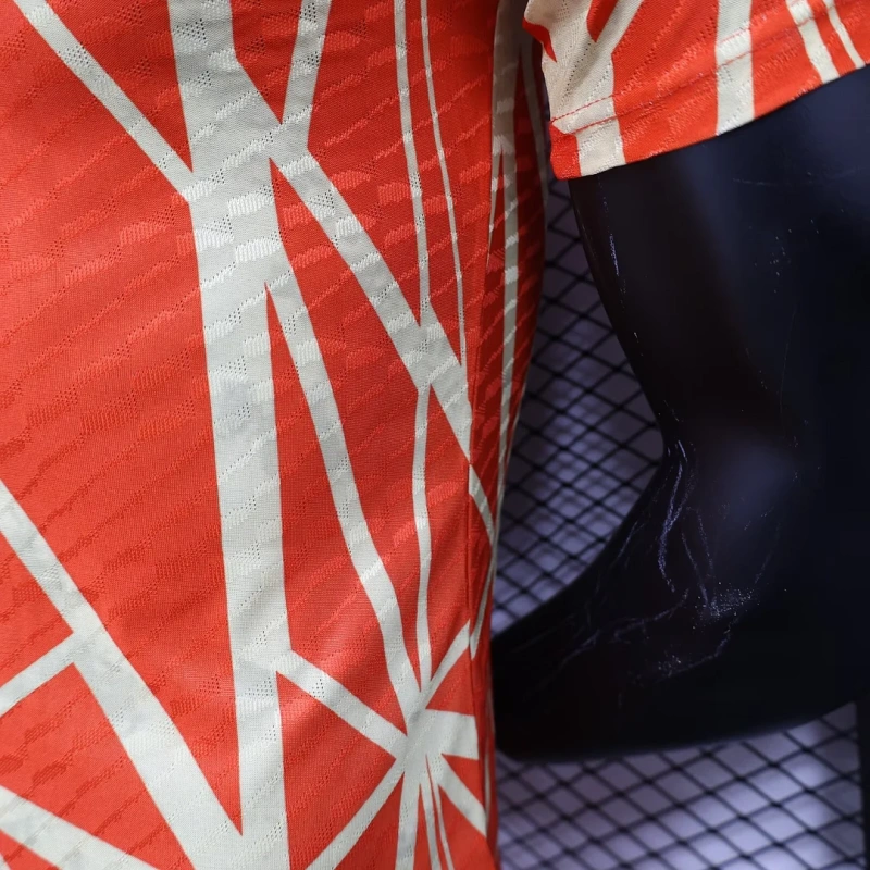 2024/2025 Player Version Bayern Munchen Special Edition Football Shirt