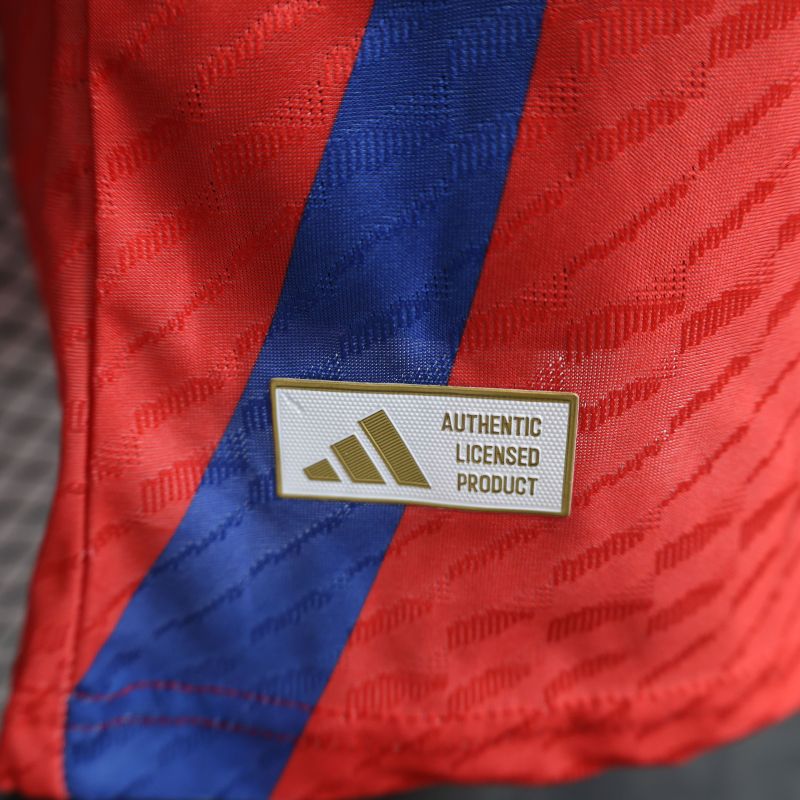 2024/2025 Players Edition Spain Special Edition Football Jersey