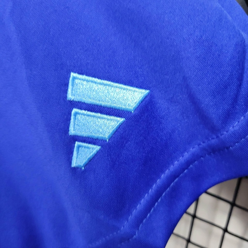 2024/2025 Argentina Away Shorts