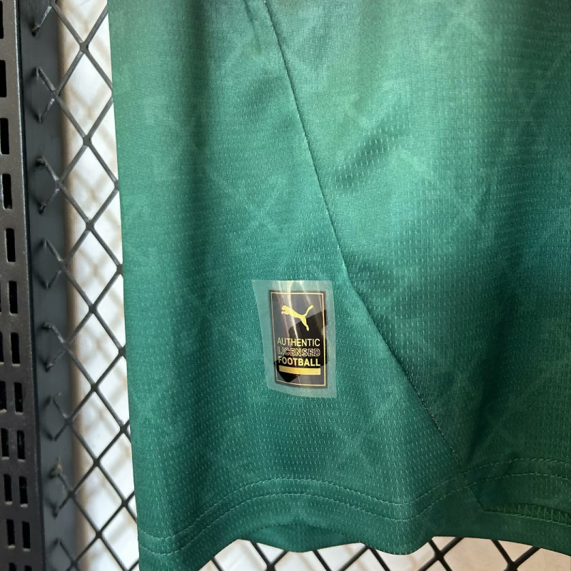 2024/2025 AC Milan three-game black and green shirt