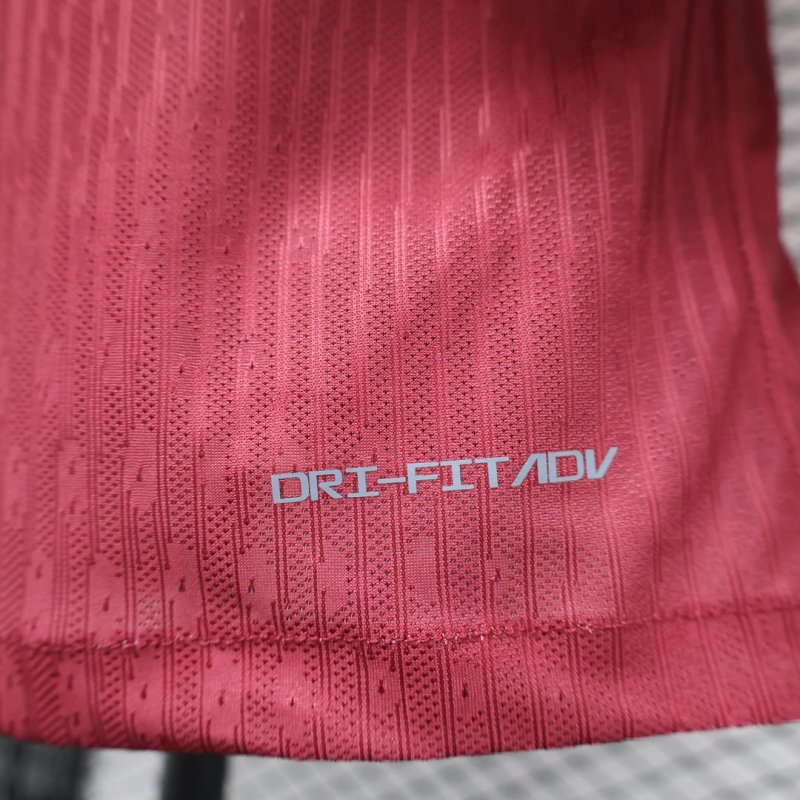 2024/2025 Player Version Norway Home Football Shirt