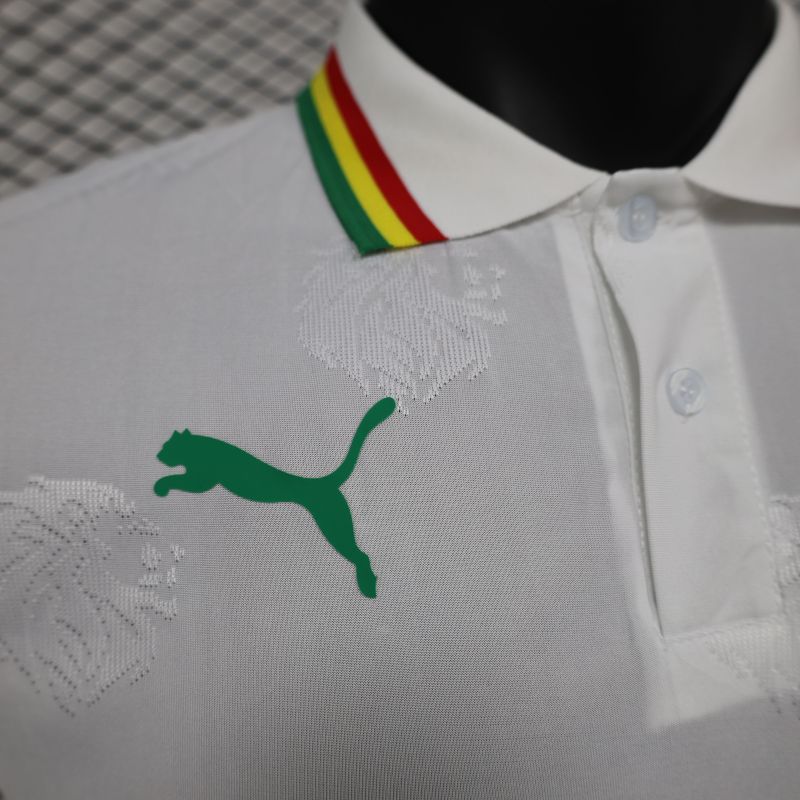 2024/2025 Senegal Special Edition Senegal Football Jersey for Players