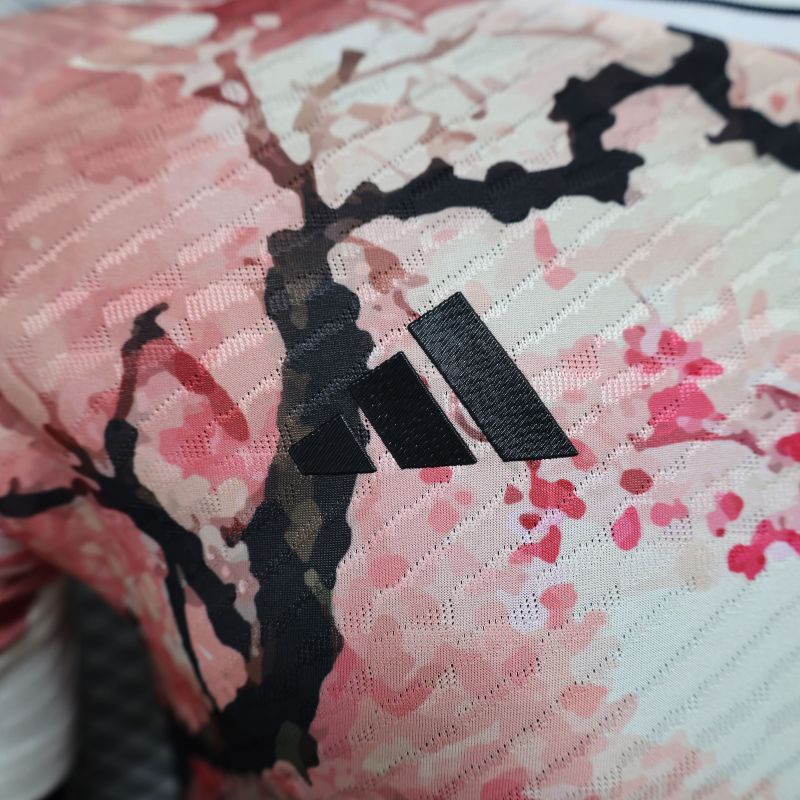 2024/2025 Players Edition Japan Special Edition Football Jerseys