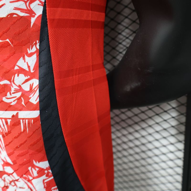 2024/2025 Players Edition Japan Special Edition Football Jersey