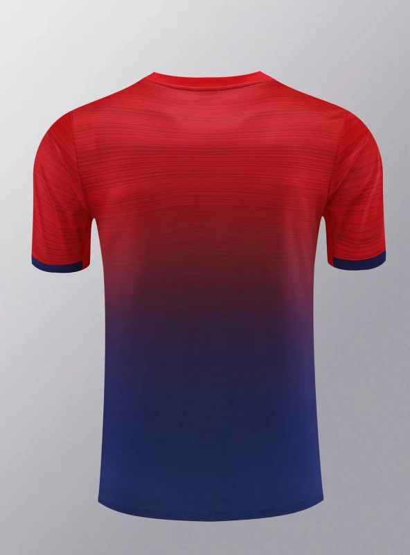 2024/2025 Paris Saint-Germain Training Wear Suit Shirt