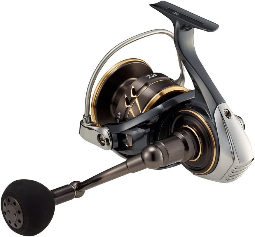 DAIWA 22 Caldia SW Sea Fishing Reel