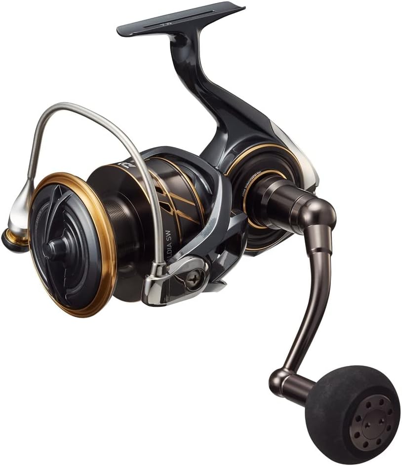 DAIWA 22 Caldia SW Sea Fishing Reel