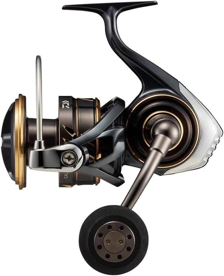 DAIWA 22 Caldia SW Sea Fishing Reel