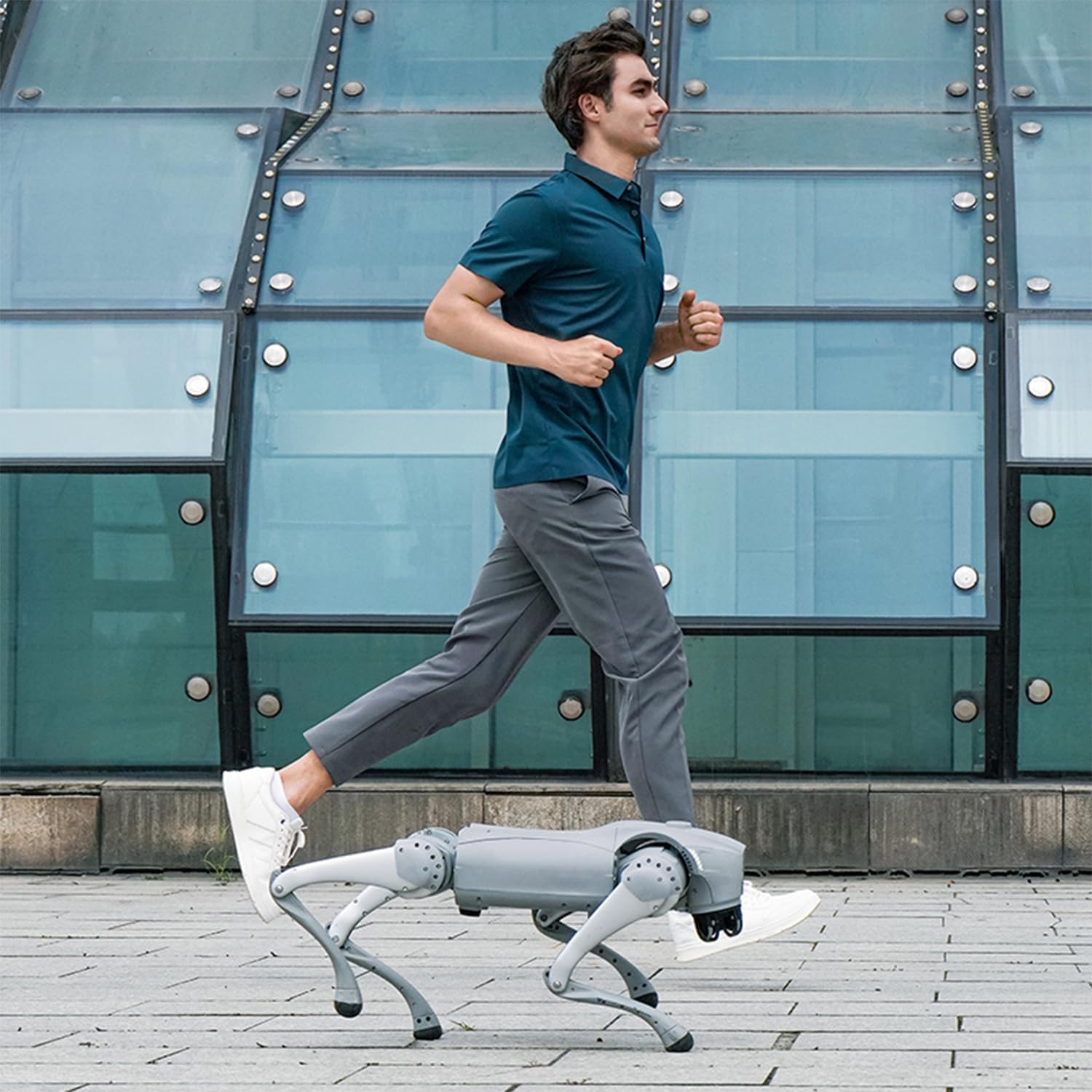 Go2 Robot Dog Quadruped Robotics for Adults Embodied AI (Go2 Pro)