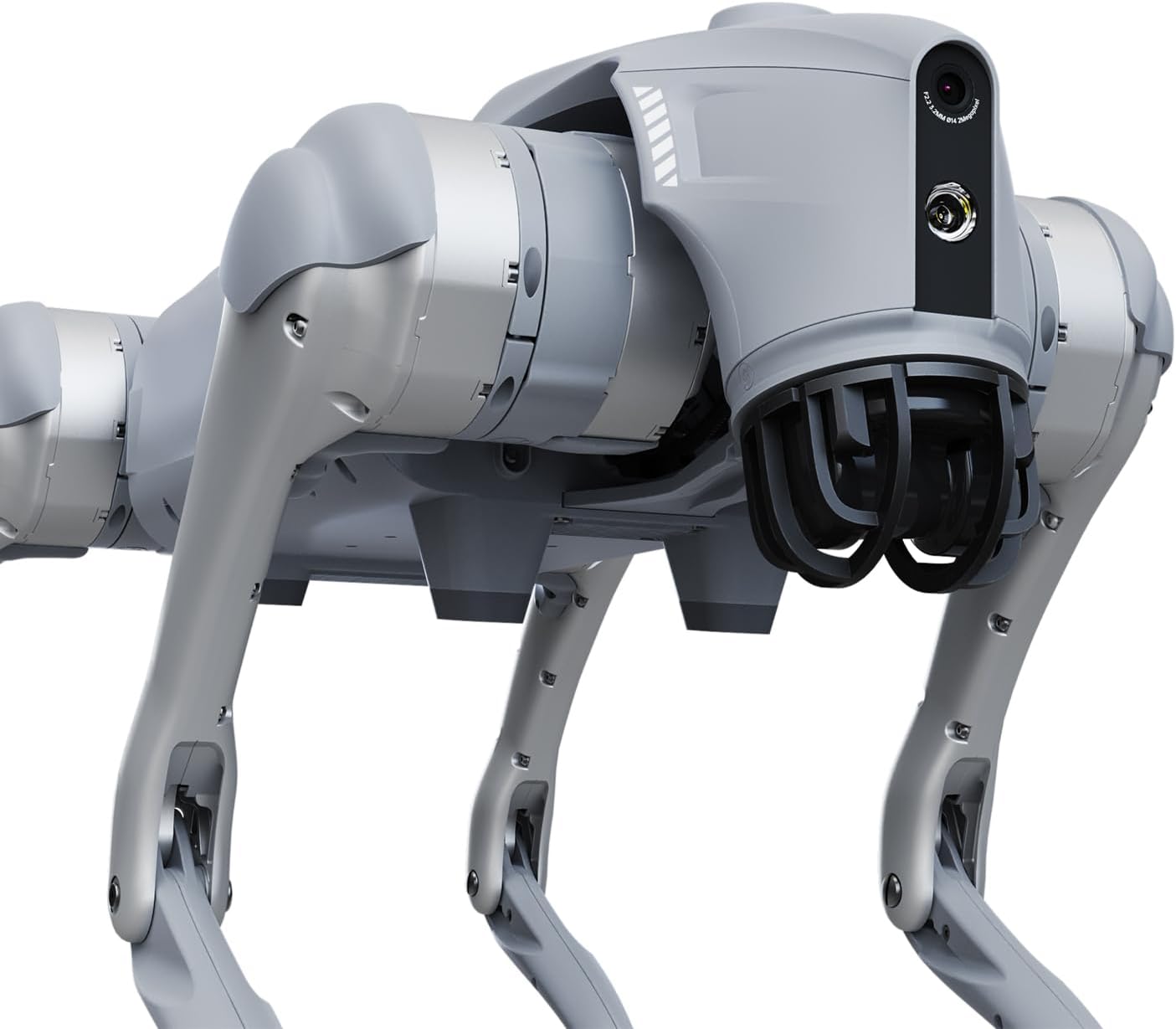 Go2 Robot Dog Quadruped Robotics for Adults Embodied AI (Go2 Pro)