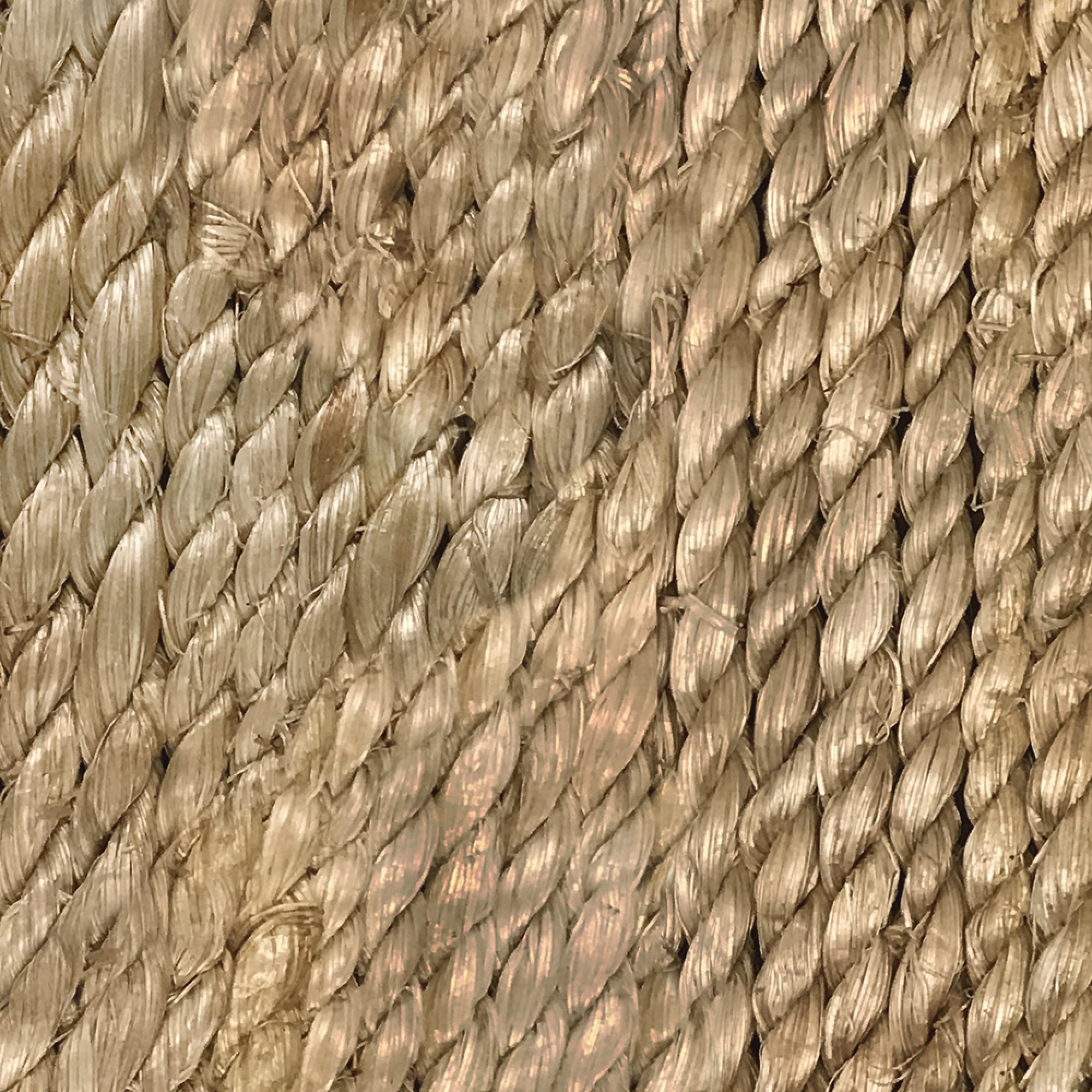 Point Reyes Collection Rope Swatches - Free Returns Within 30 Days