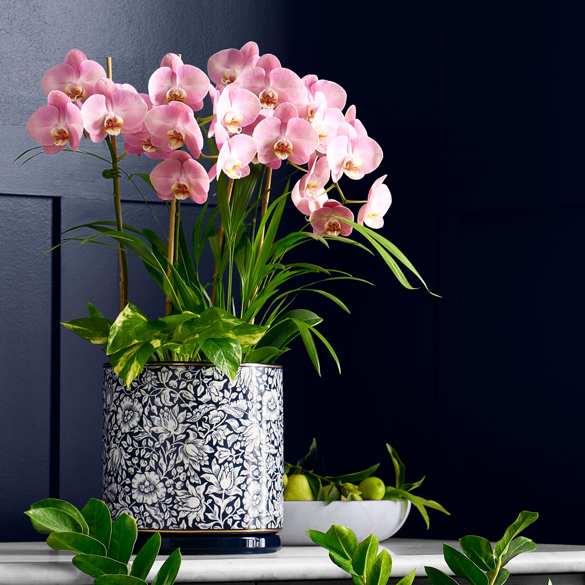 Morris & Co. x Williams Sonoma Ceramic Planter Collection