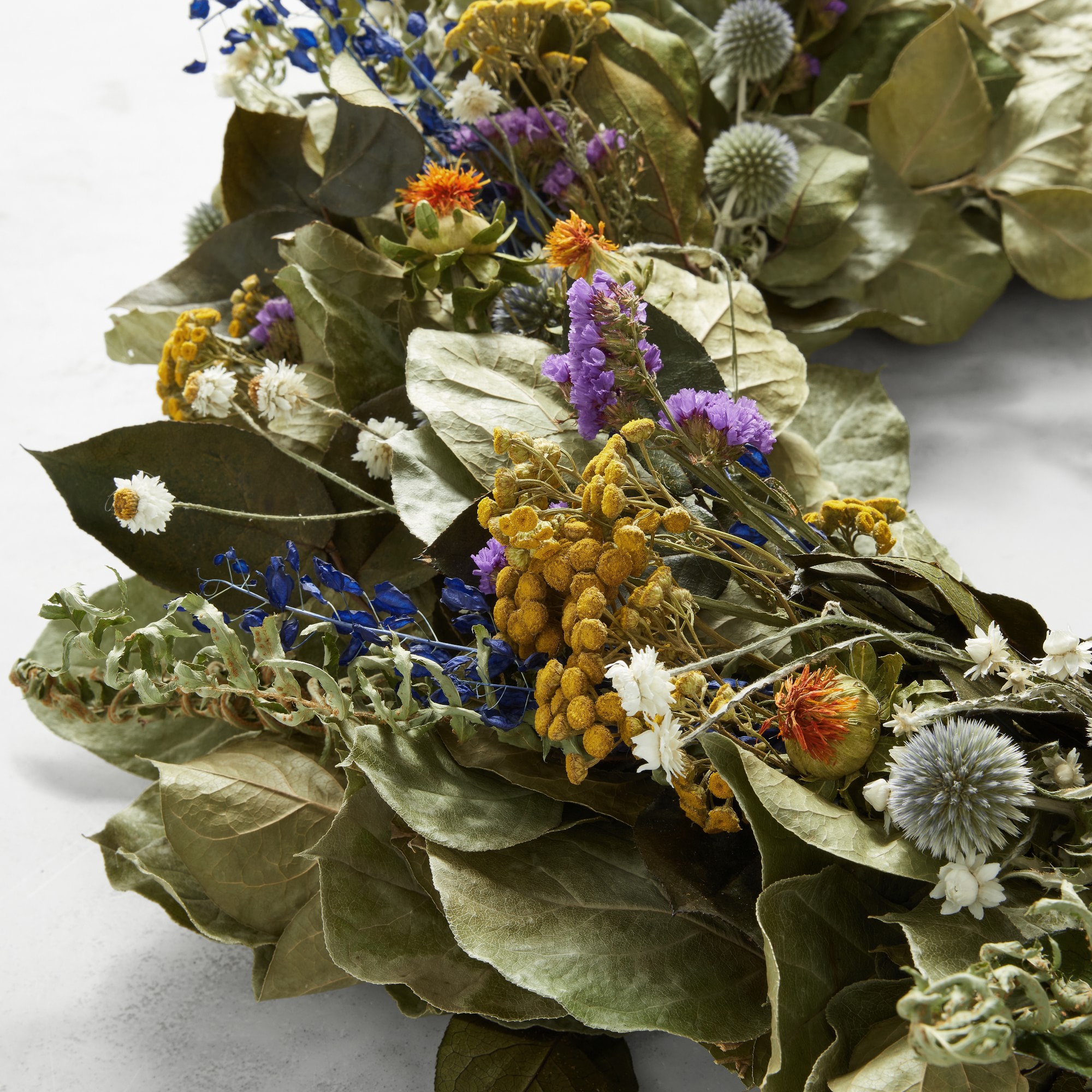 Painters Palette Live Wreath