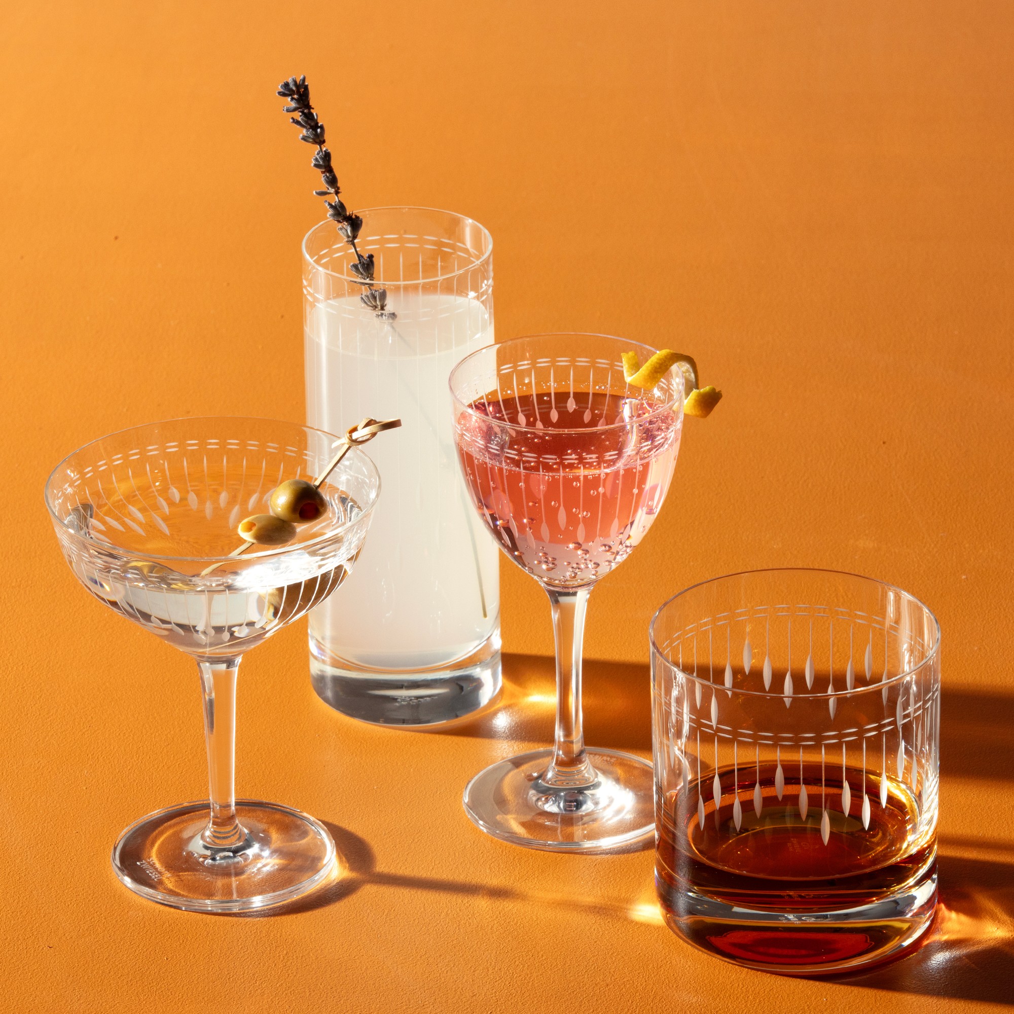 Schott Zwiesel Vanity Etched Nick and Nora Glasses, Set of 6