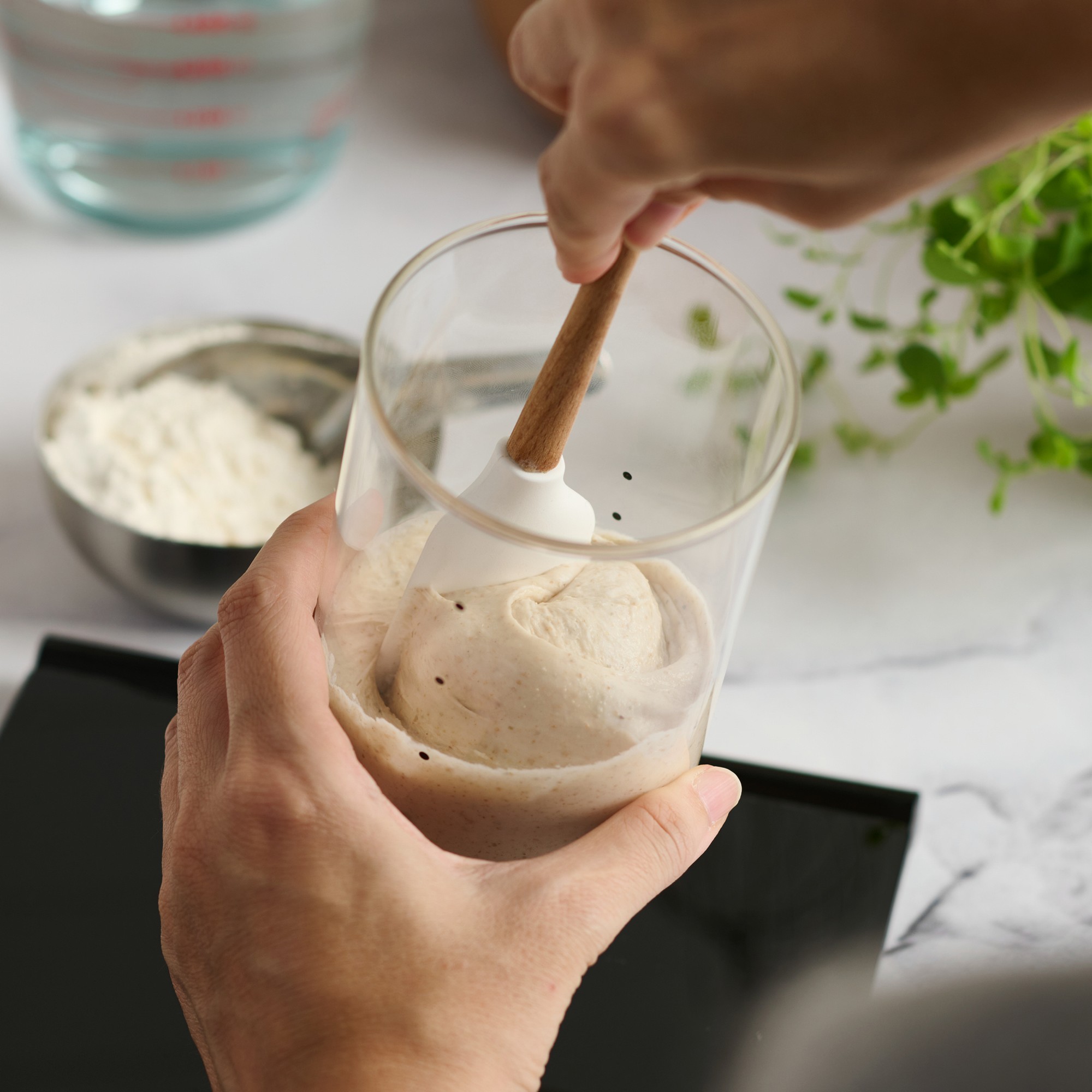 Goldie by Sourhouse™ with Pint & Quart Starter Jars