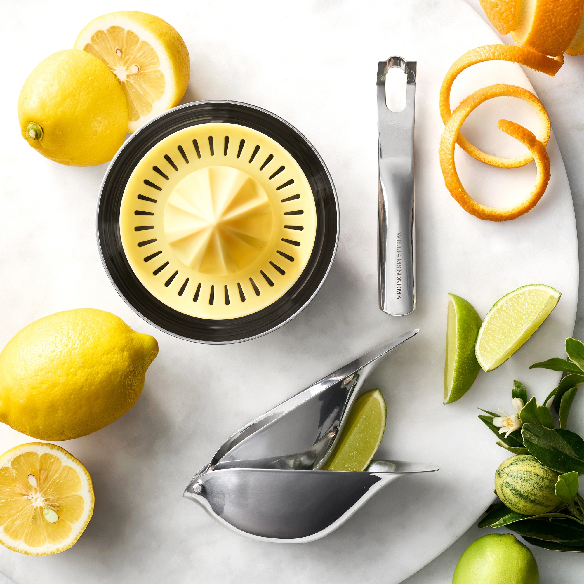 Williams Sonoma Citrus Reamer and Juicer