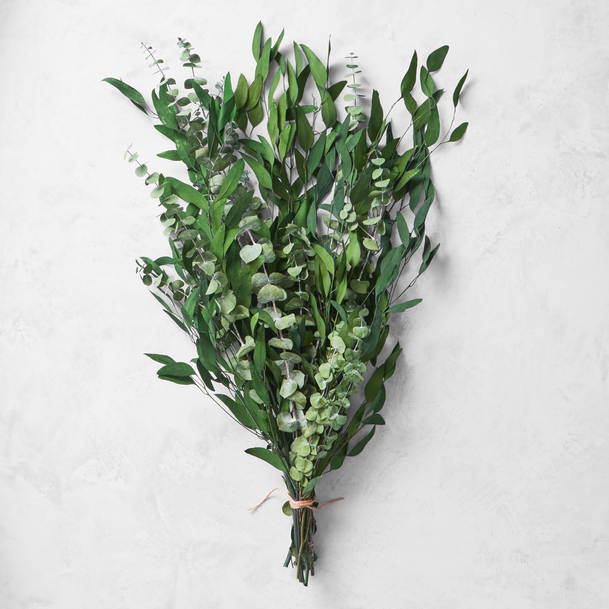 Dried Green Eucalyptus Bunch