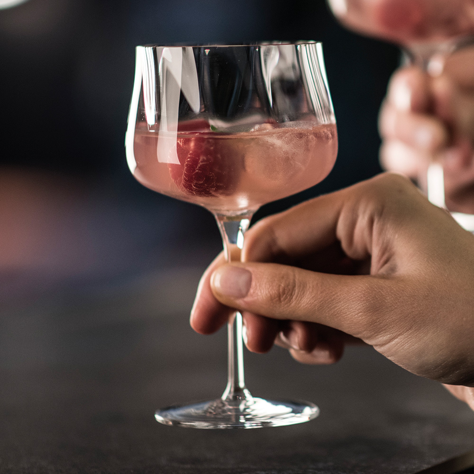 Schott Zwiesel Marlene Glassware Collection