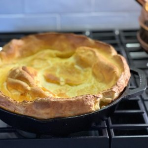 Lodge Seasoned Cast Iron Double Handled Skillet