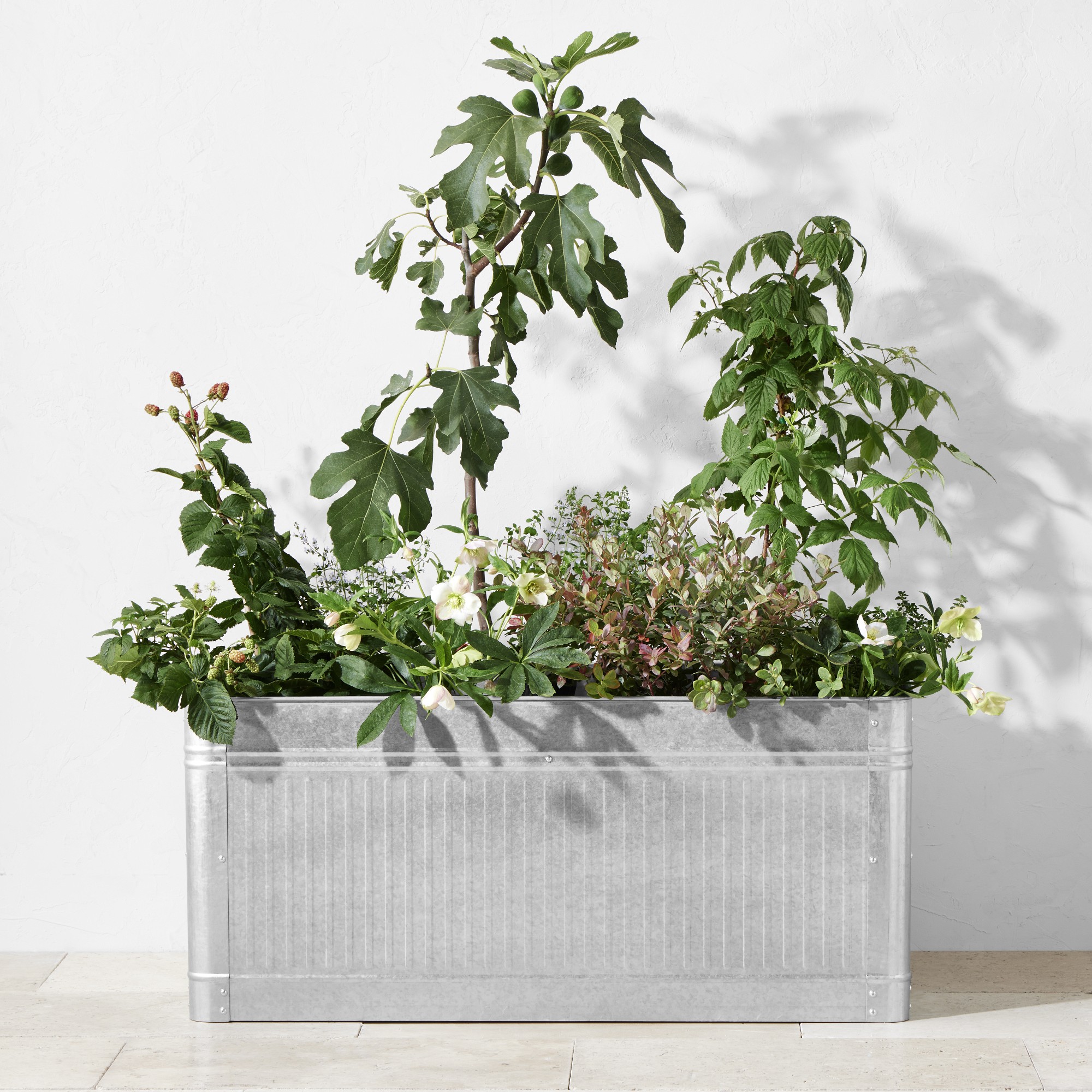 Vintage Galvanized Raised Planter