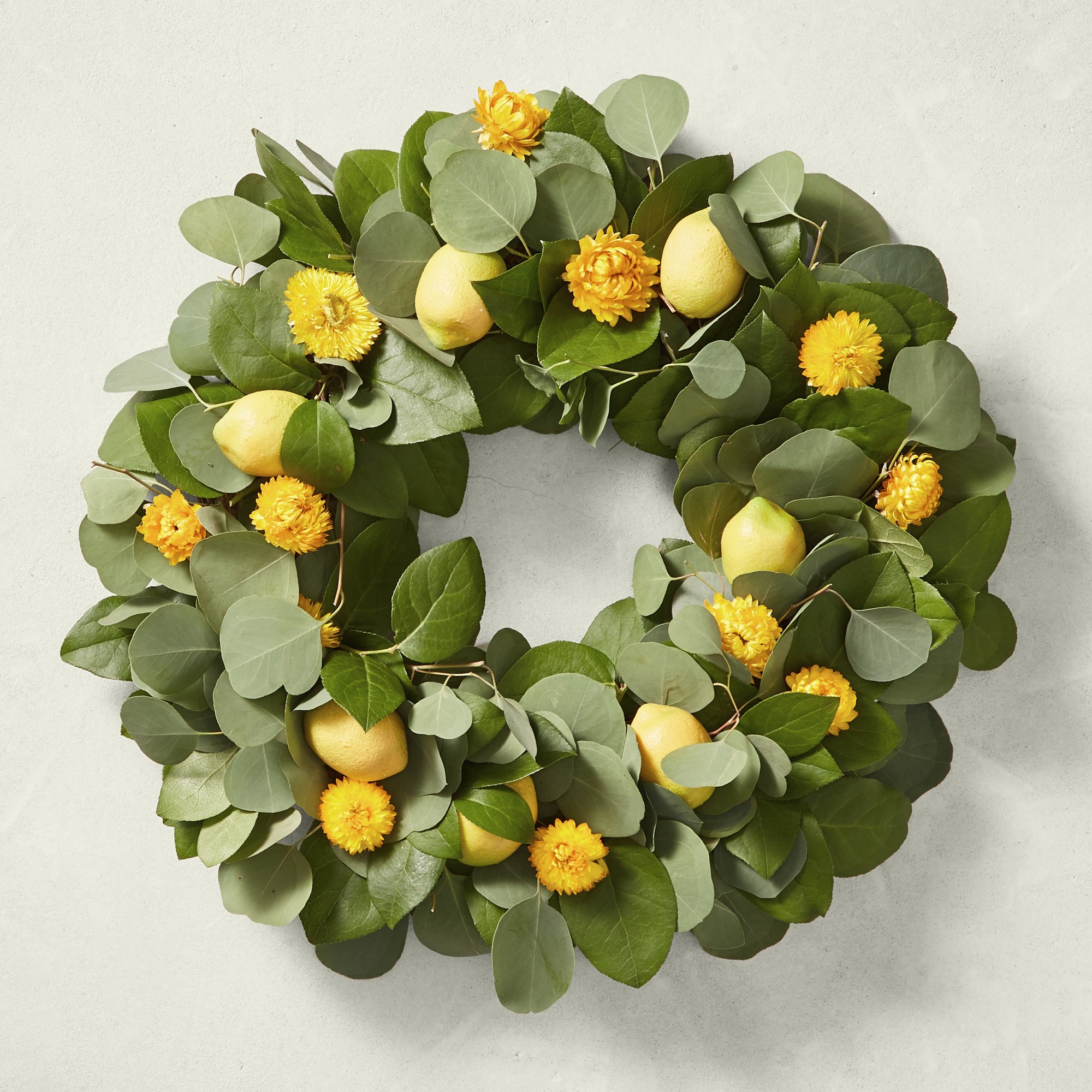 Lemon & Eucalyptus Live Wreath, 20