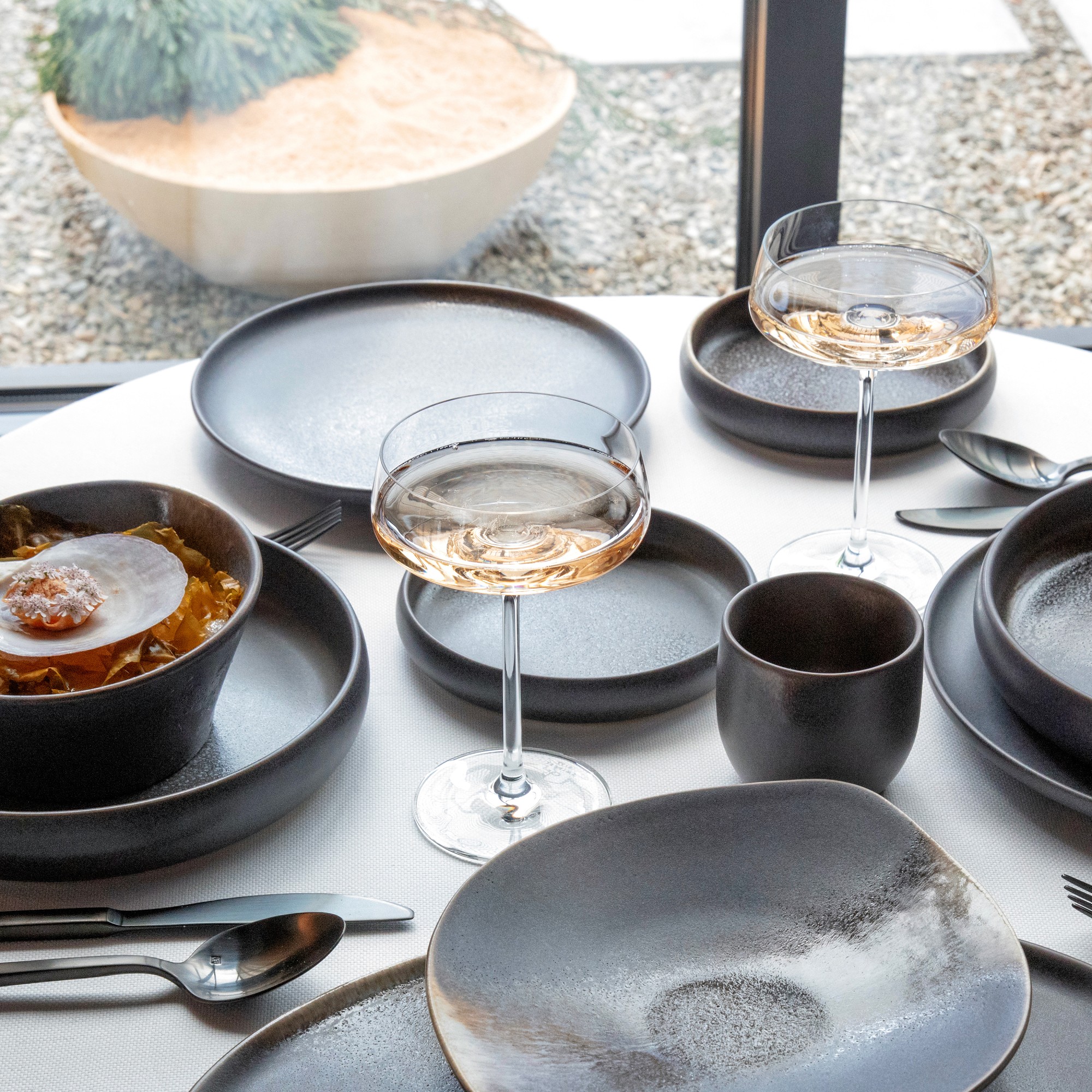 Schott Zwiesel Sensa Coupe Glasses, Set of 4