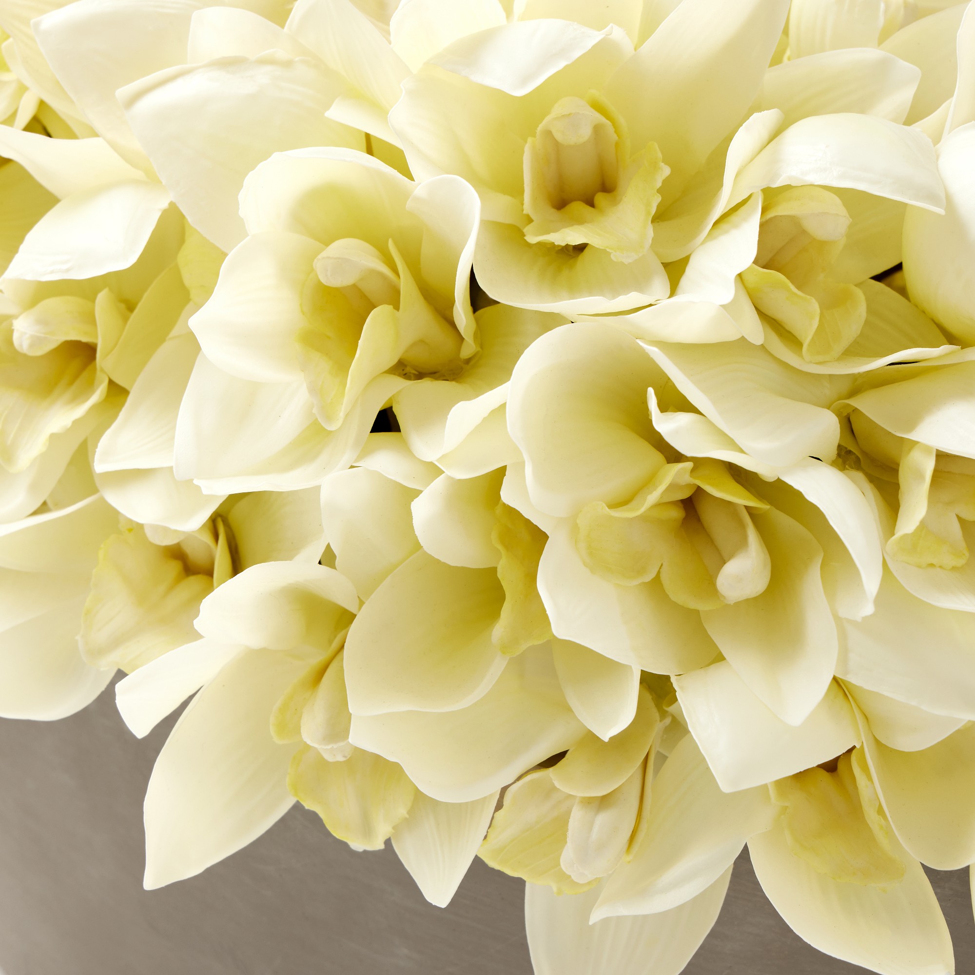 Jeff Leatham x Williams Sonoma Faux White Cymbidium Orchid in Oval Bowl