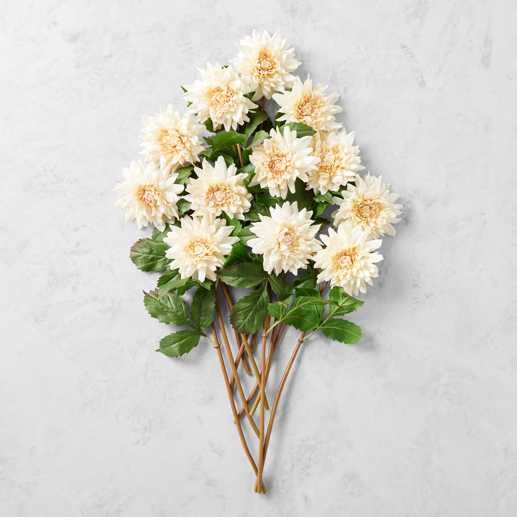 Jeff Leatham x Williams Sonoma Real Touch Faux Blush Dahlia Stems, Set of 12