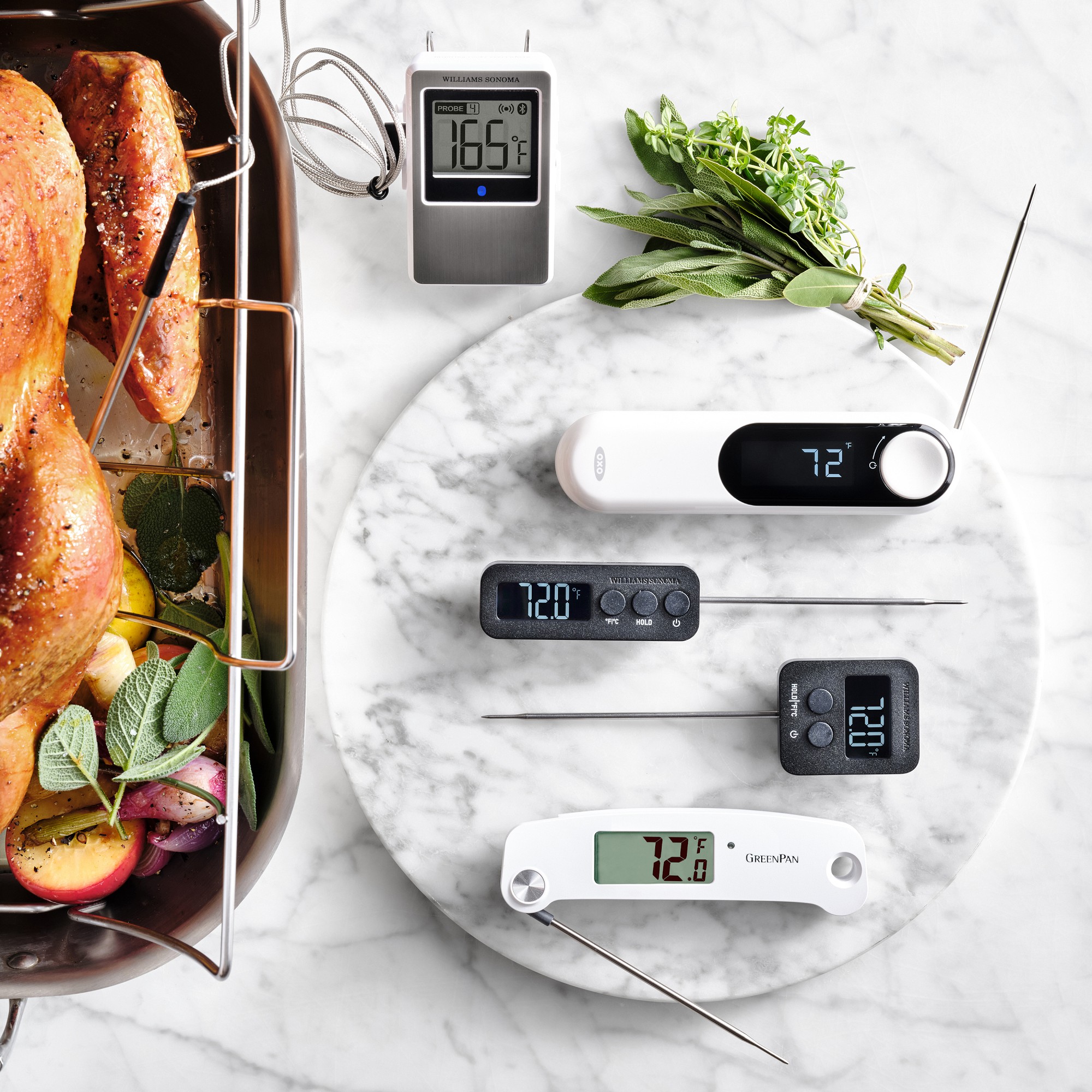 Williams Sonoma Digital Pen Thermometer