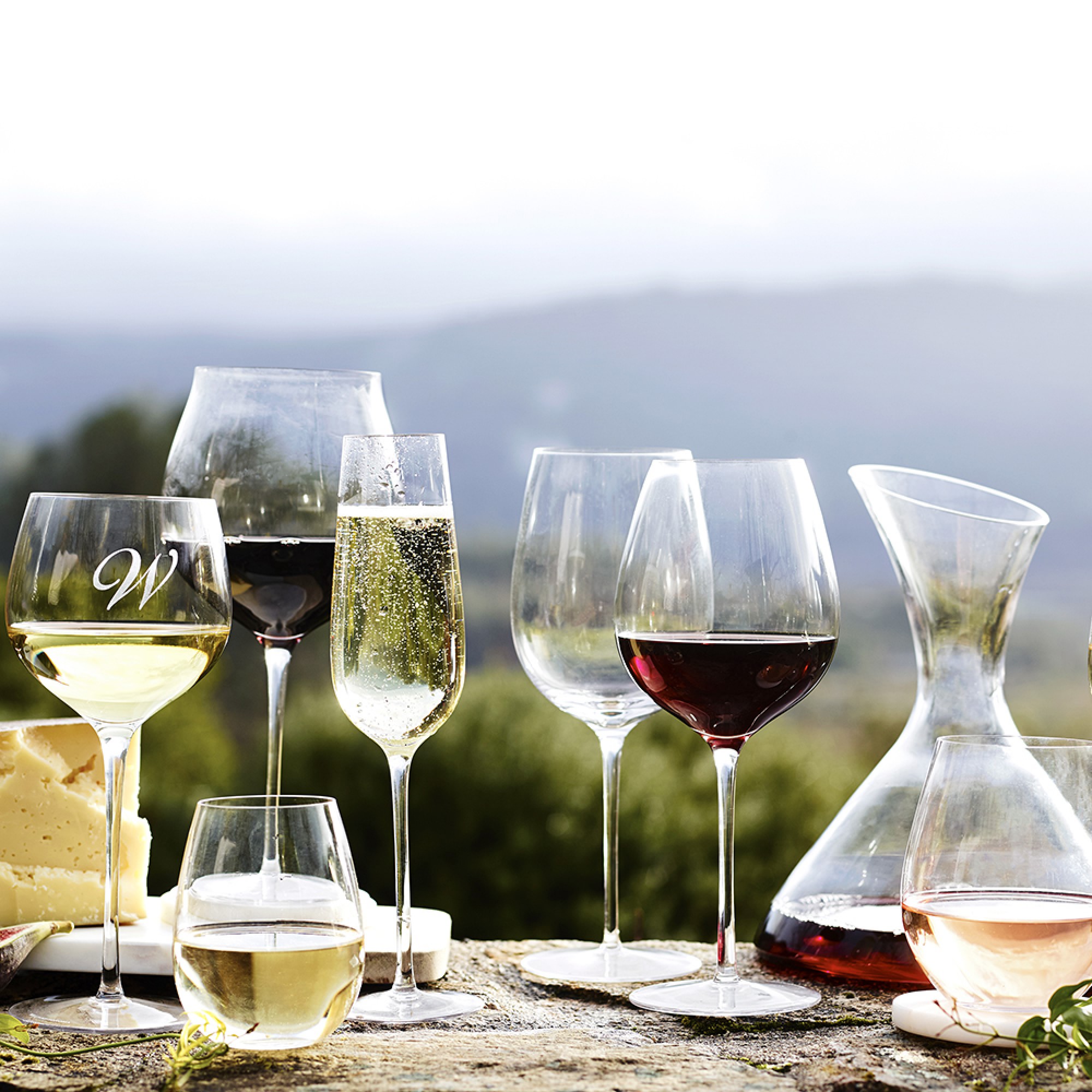 Williams Sonoma Reserve Pinot Noir Wine Glasses