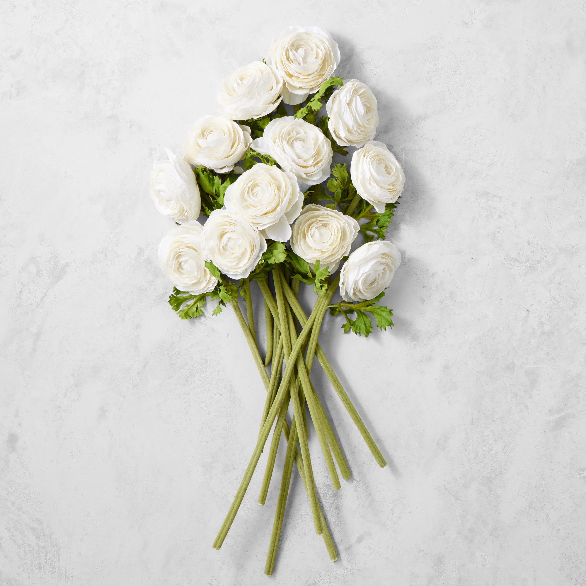 Jeff Leatham x Williams Sonoma Real Touch Faux White Ranunculus Stems, Set of 12