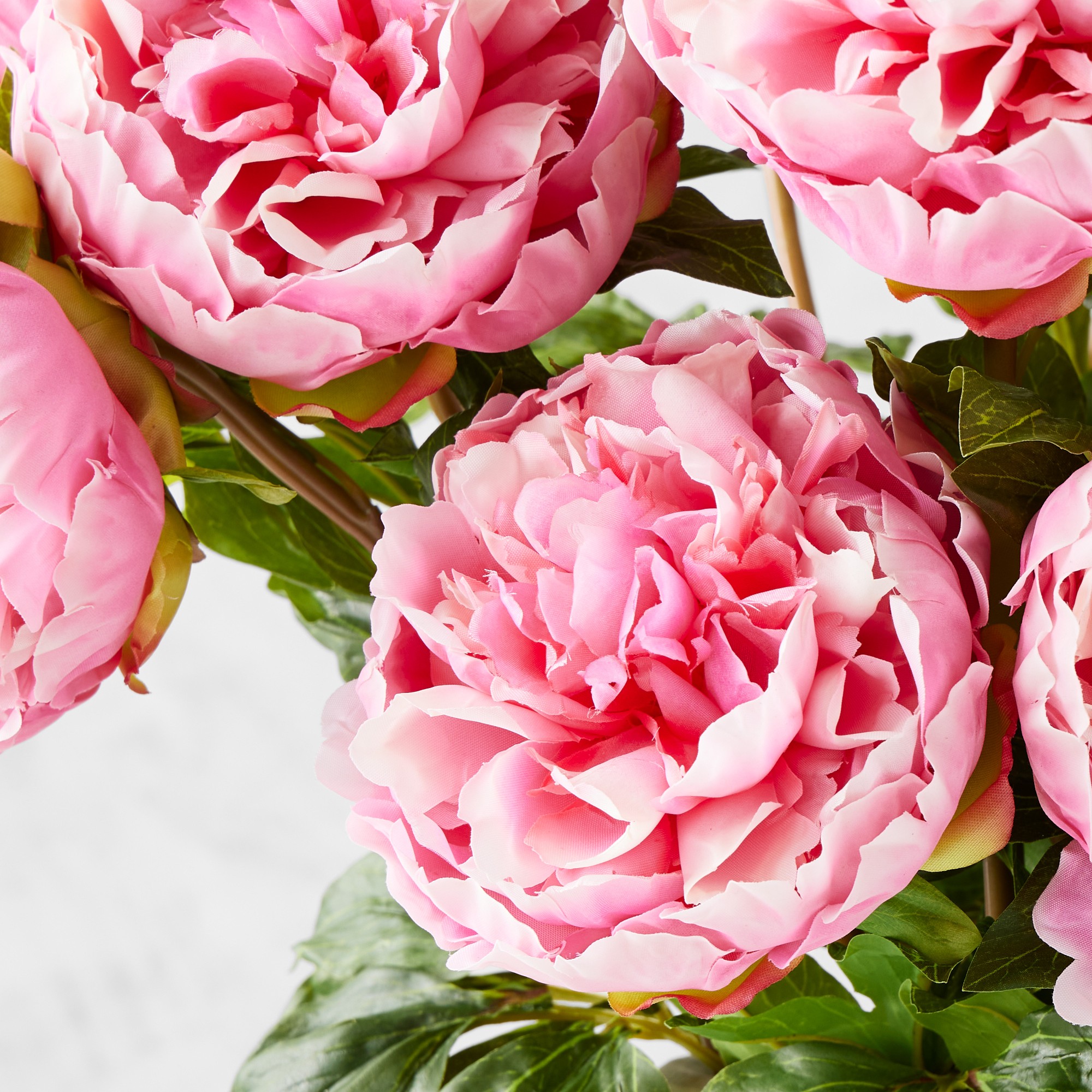 Jeff Leatham x Williams Sonoma Real Touch Faux Pink Peony Stems, Set of 12