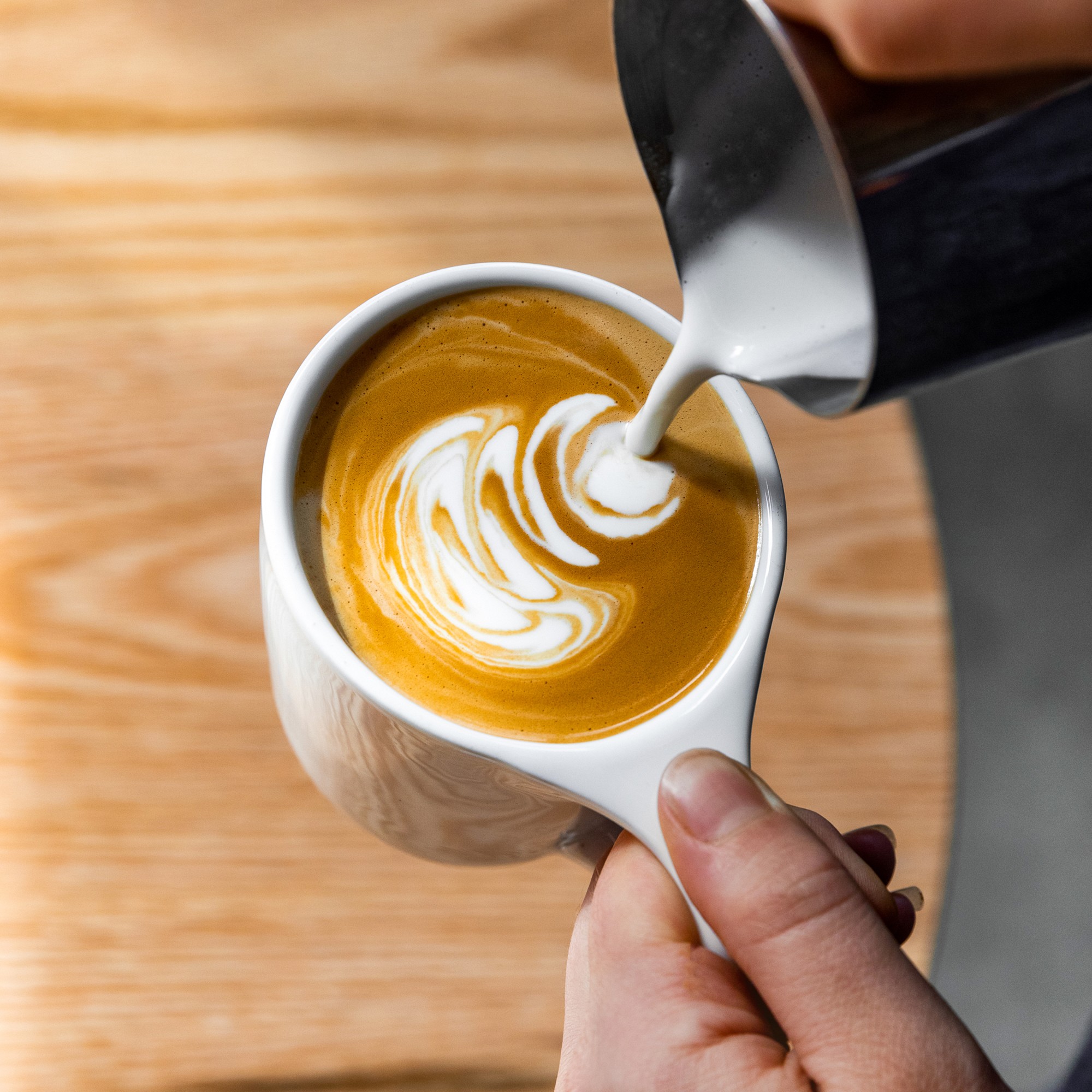 Equator Coffee Eye of The Tiger Espresso Blend Coffee Beans