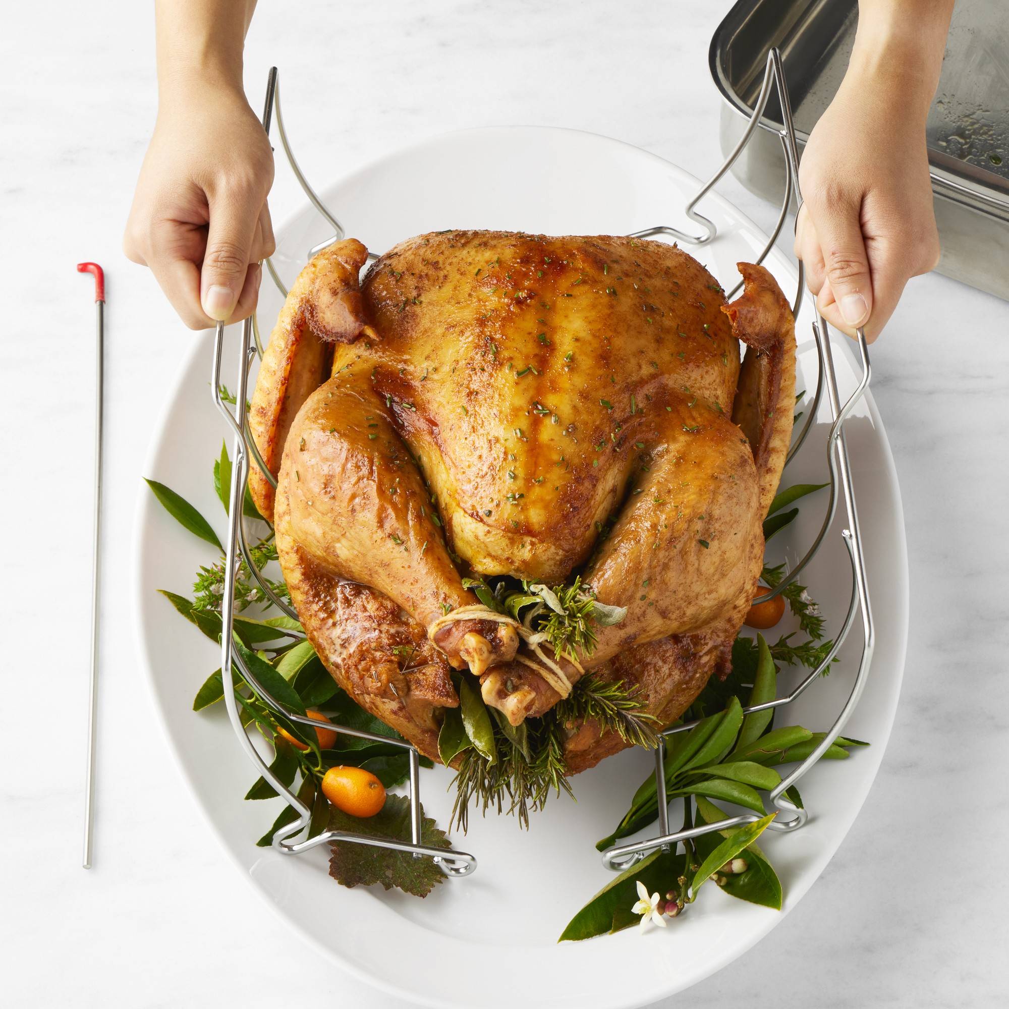 Williams Sonoma Roasting Rack, Stainless-Steel