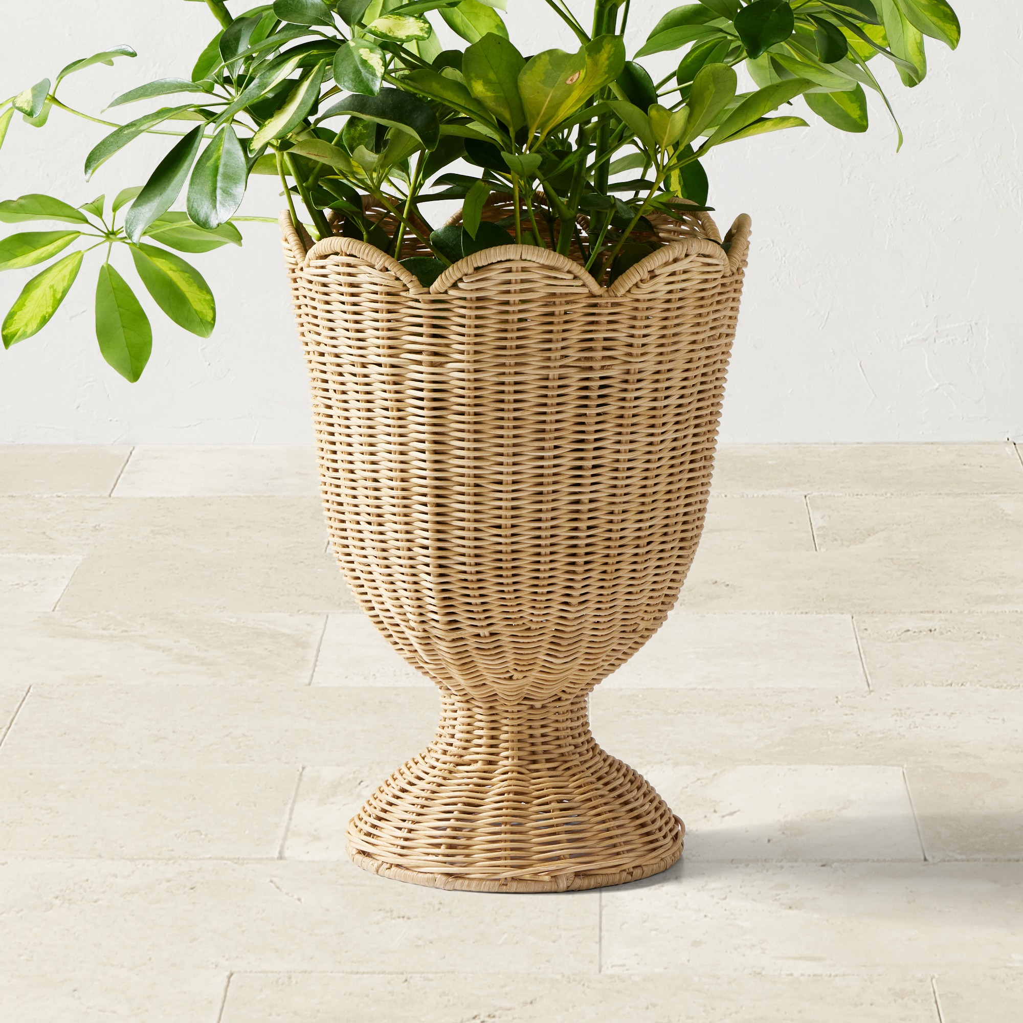 Woven Urn Planter Collection