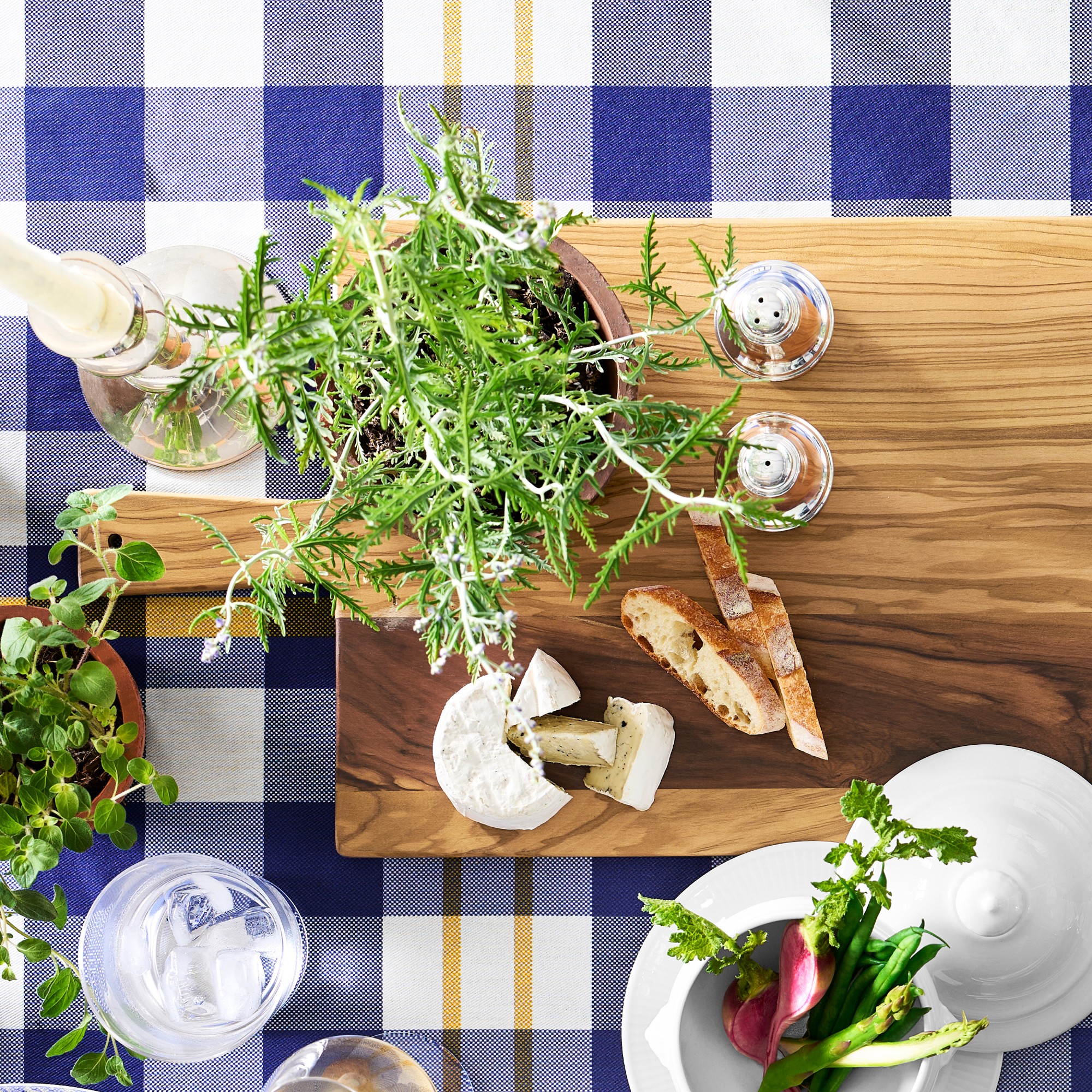 Apilco Lion's Head Tureen