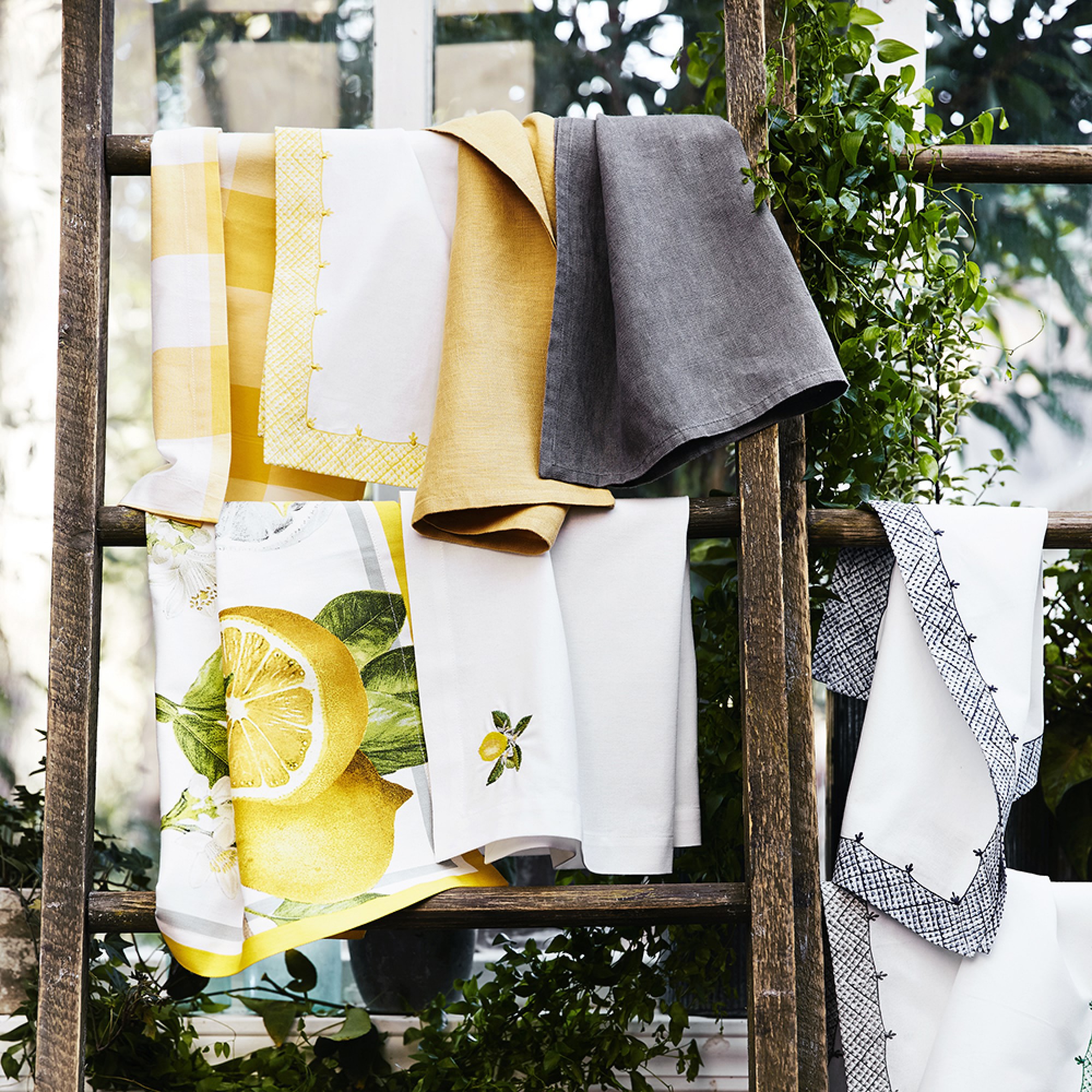 Meyer Lemon Napkins, Set of 4