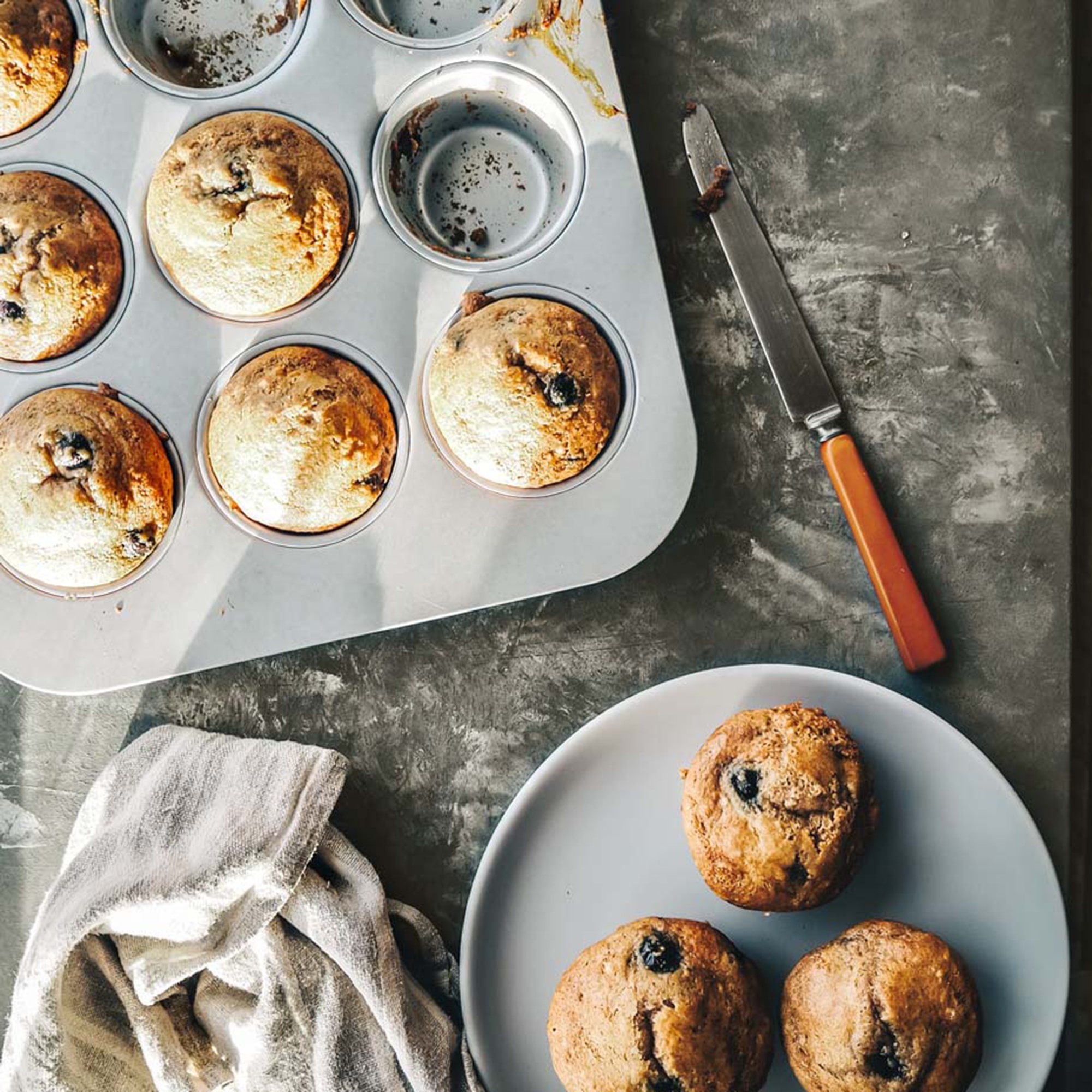 Open Kitchen by Williams Sonoma Matte Coupe Salad Plates, Set of 4