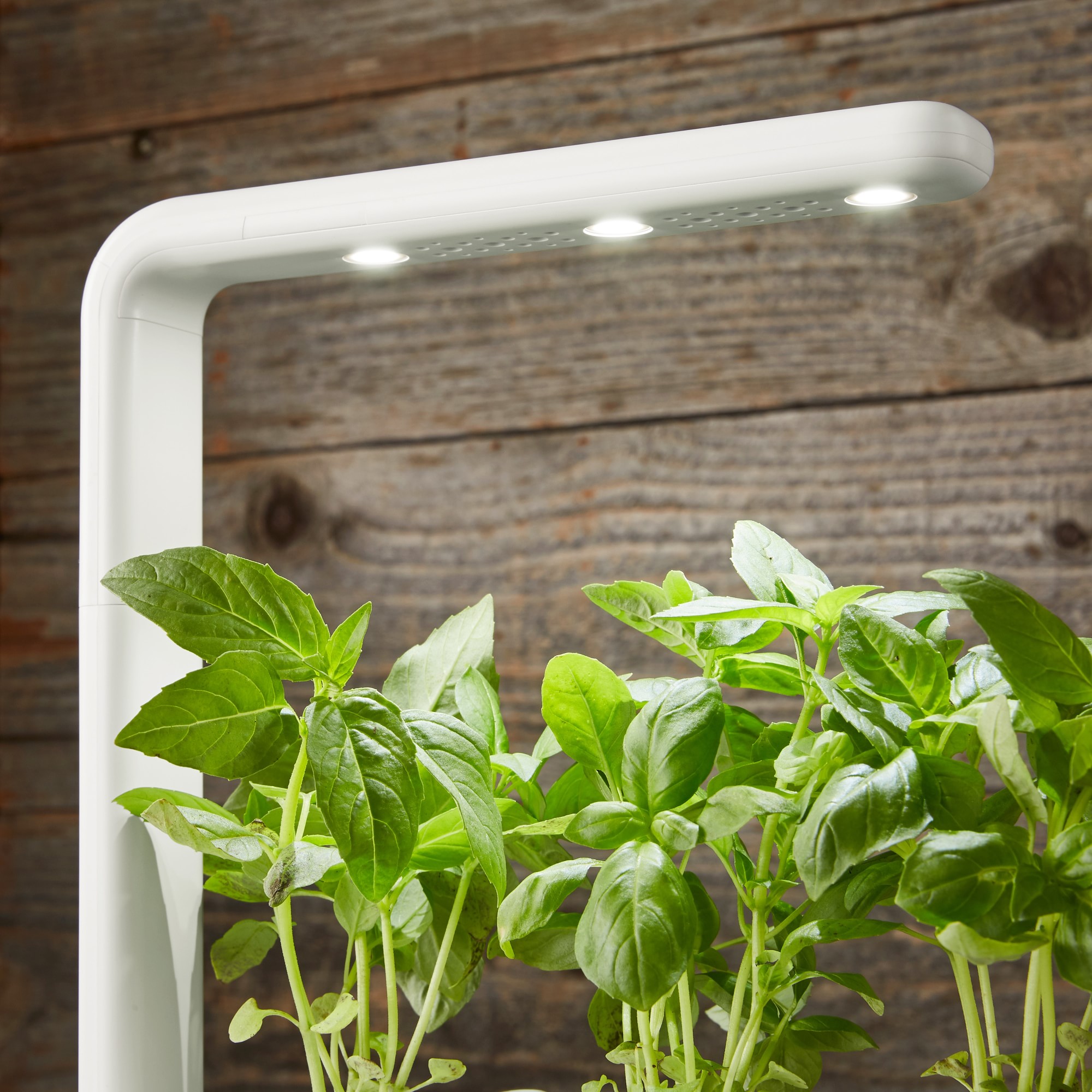 Click & Grow Smart Garden System, 3-Pod, White