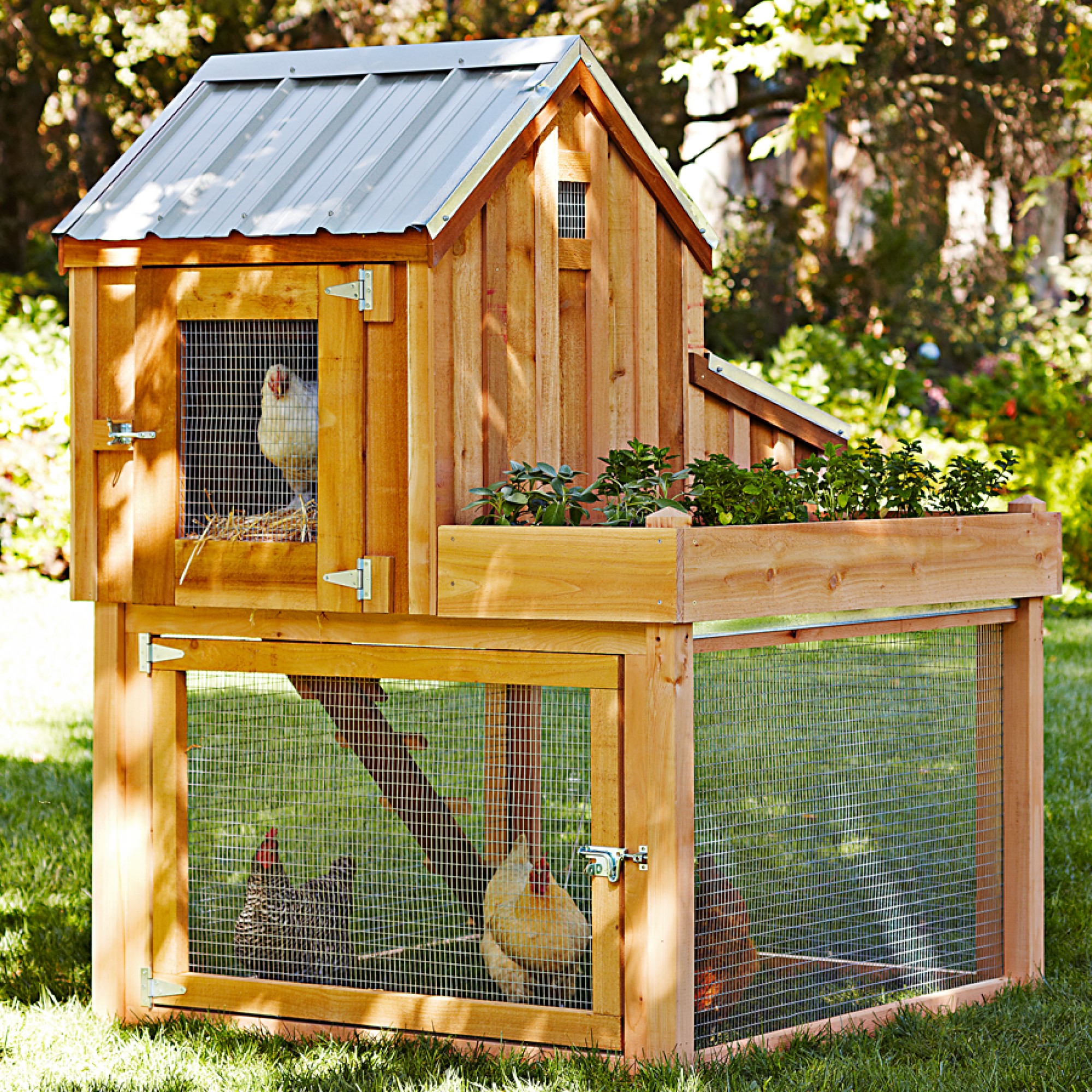 Cedar Chicken Coop & Run with Planter