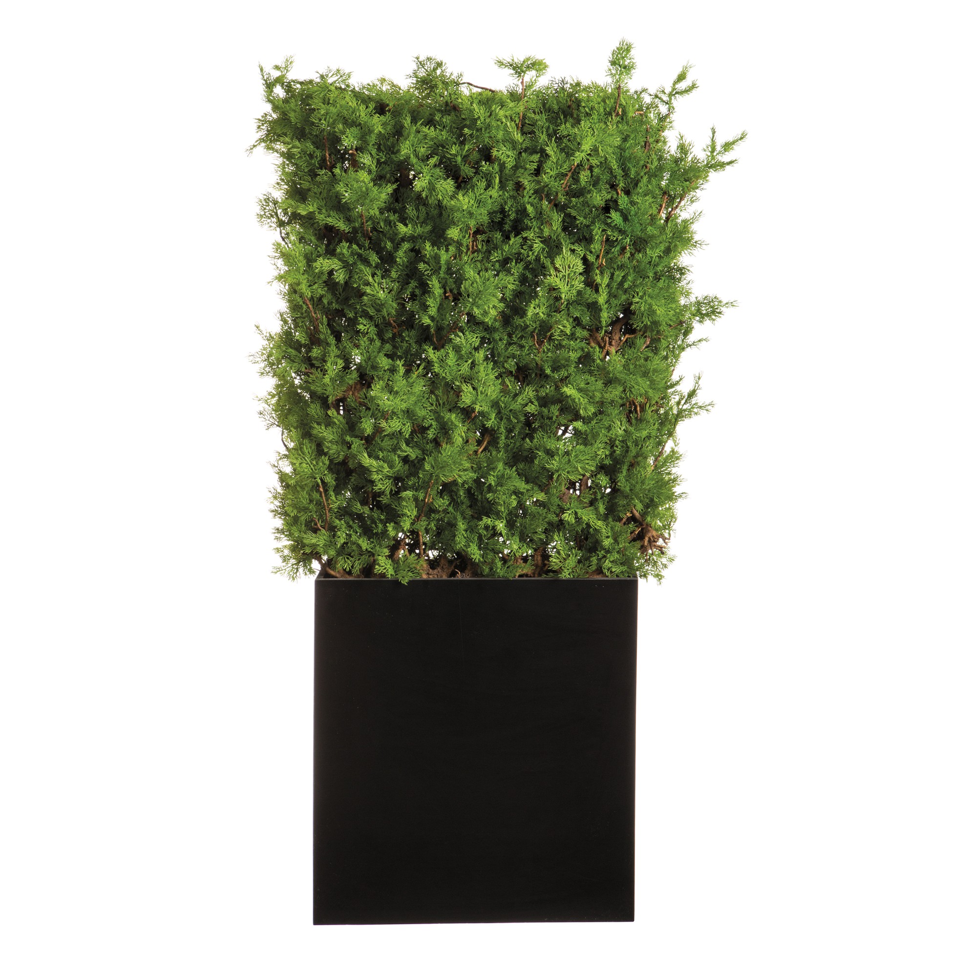 UV Protected Faux Hedge, 66