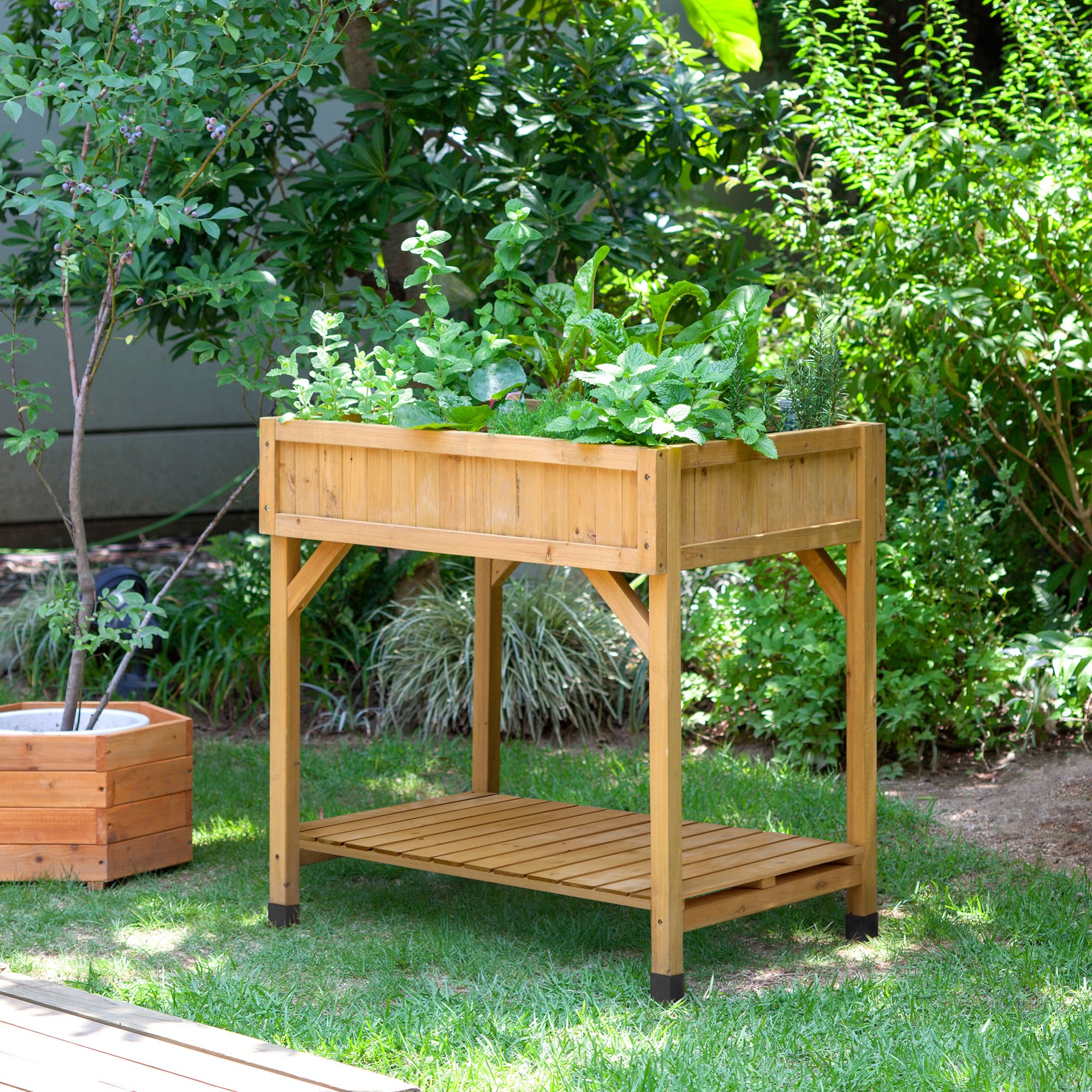 VegTrug™ Herb Garden