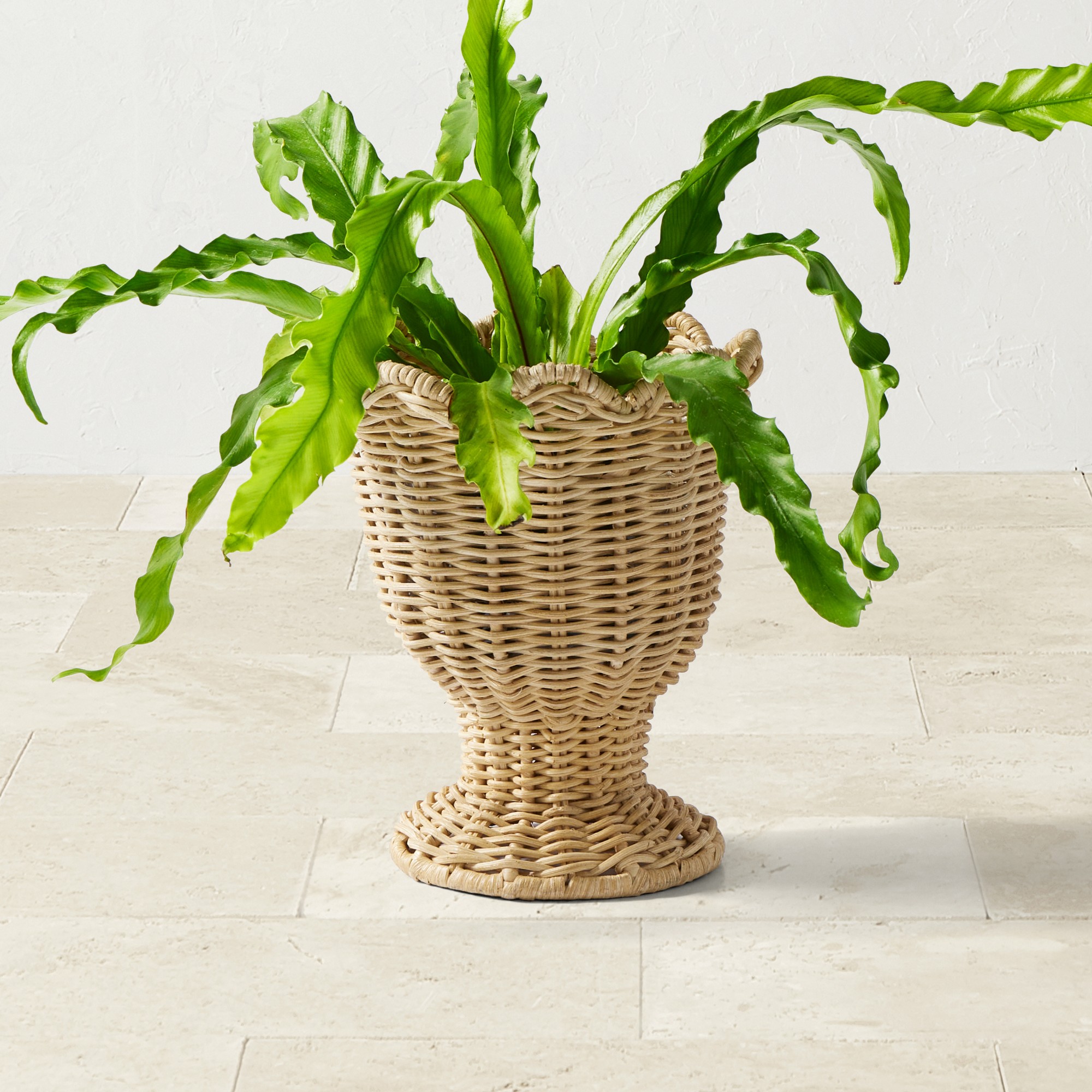 Woven Urn Planter Collection