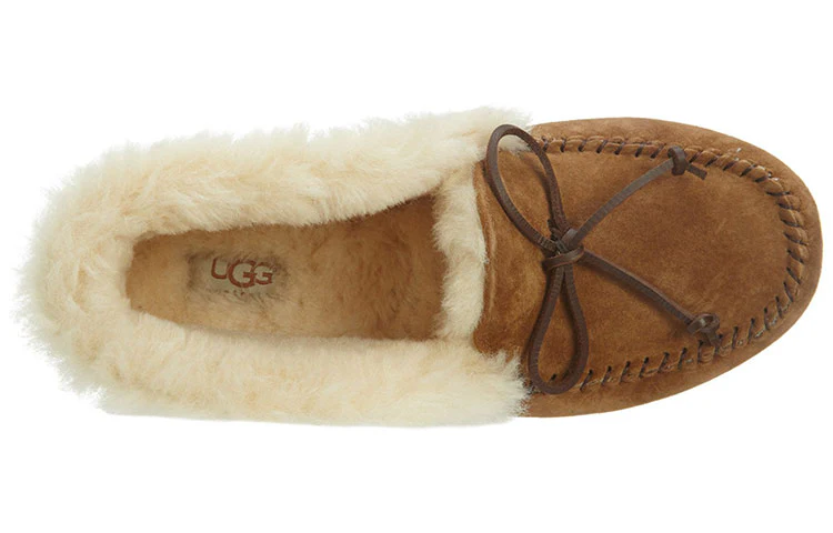 (WMNS) UGG other Sports Casual Shoes 'Brown' 1004806-CHE