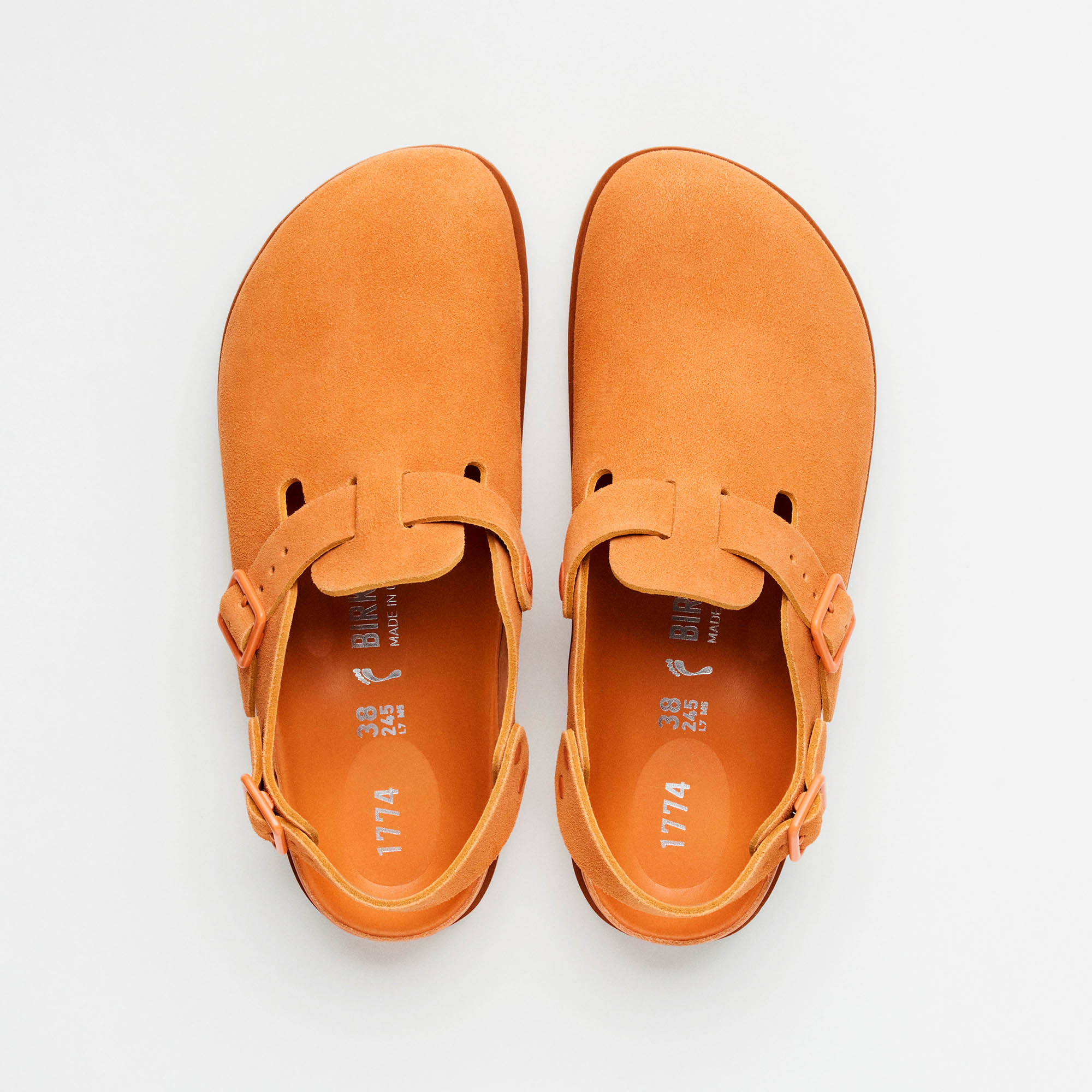 1774 IV Tokio - Kurkuma