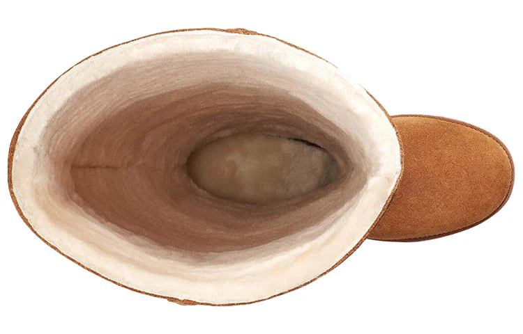 (WMNS) UGG Classic Femme Otk Cozy 1104610-CHE