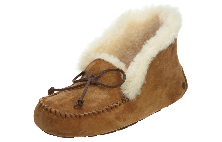 (WMNS) UGG other Sports Casual Shoes 'Brown' 1004806-CHE