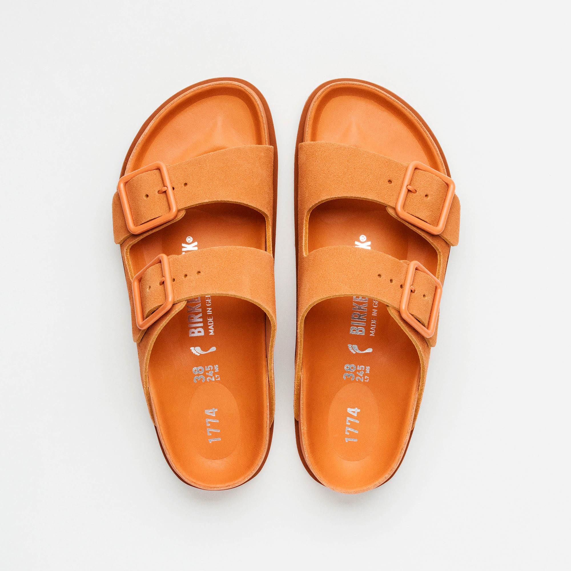 1774 Arizona - Kurkuma