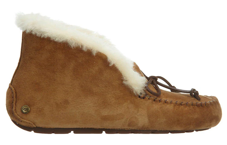 (WMNS) UGG other Sports Casual Shoes 'Brown' 1004806-CHE